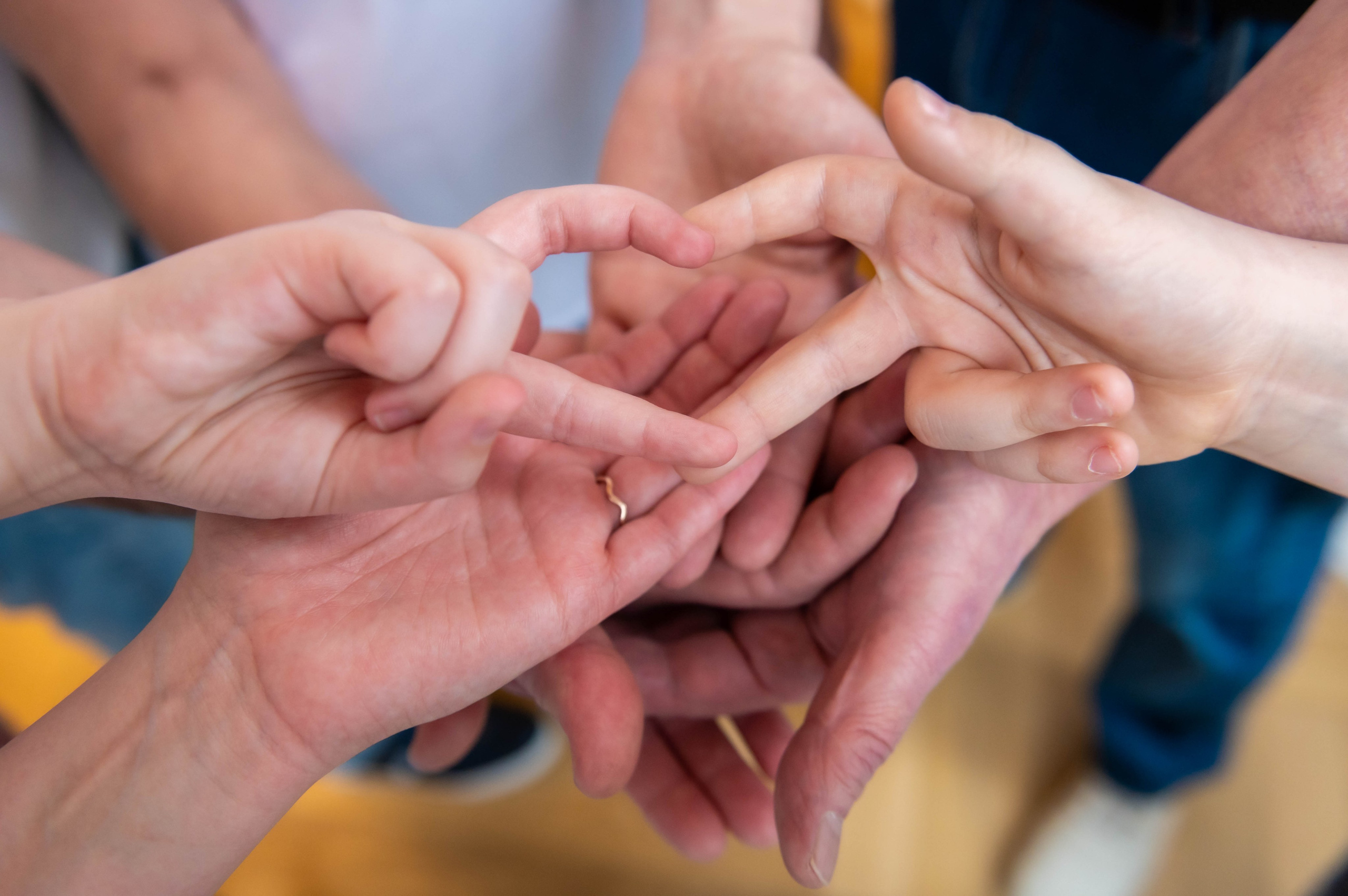 Семьи. Главная