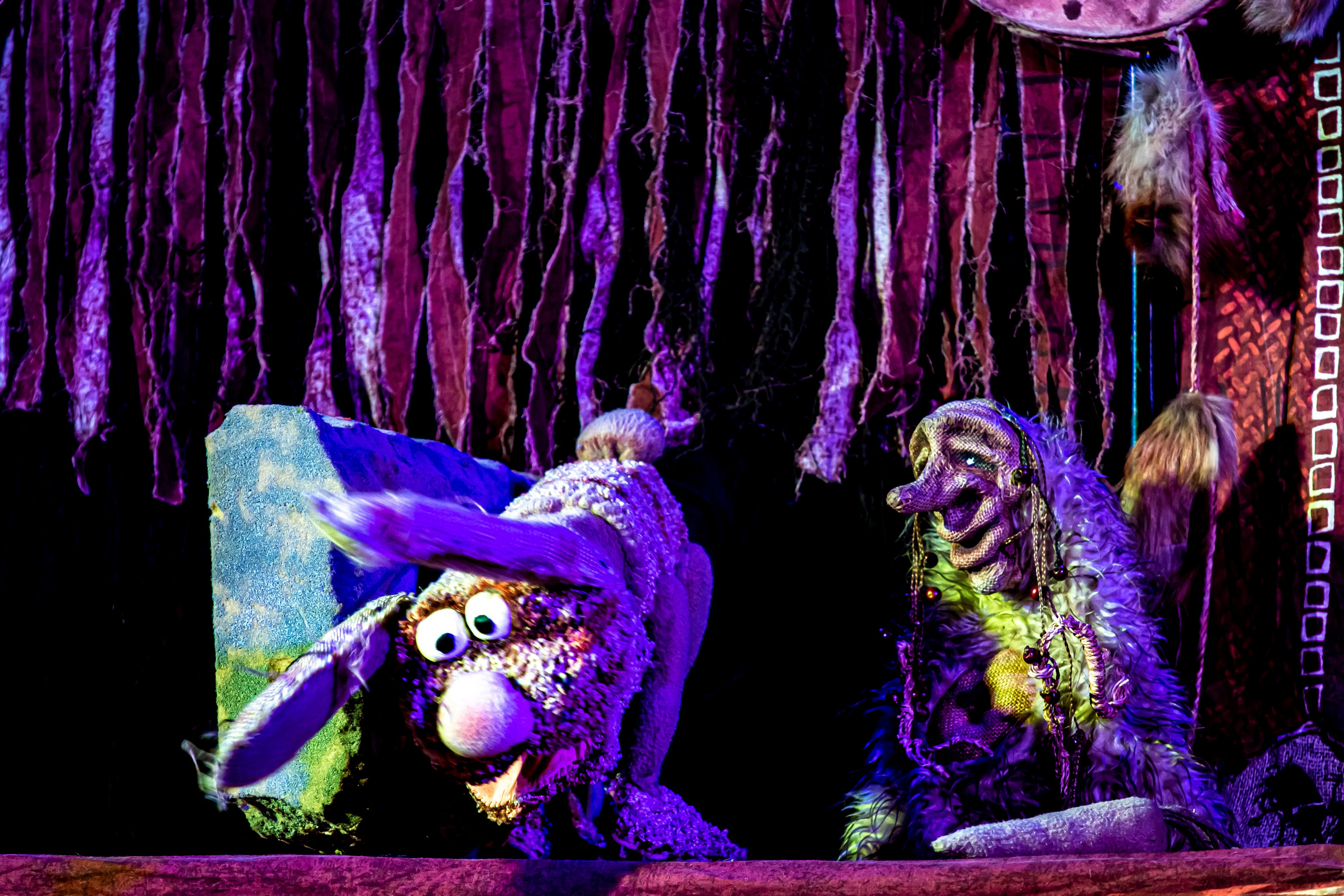 Легенды о Сочи Саквояж. Фотограф в Сочи Юрий Шептаев