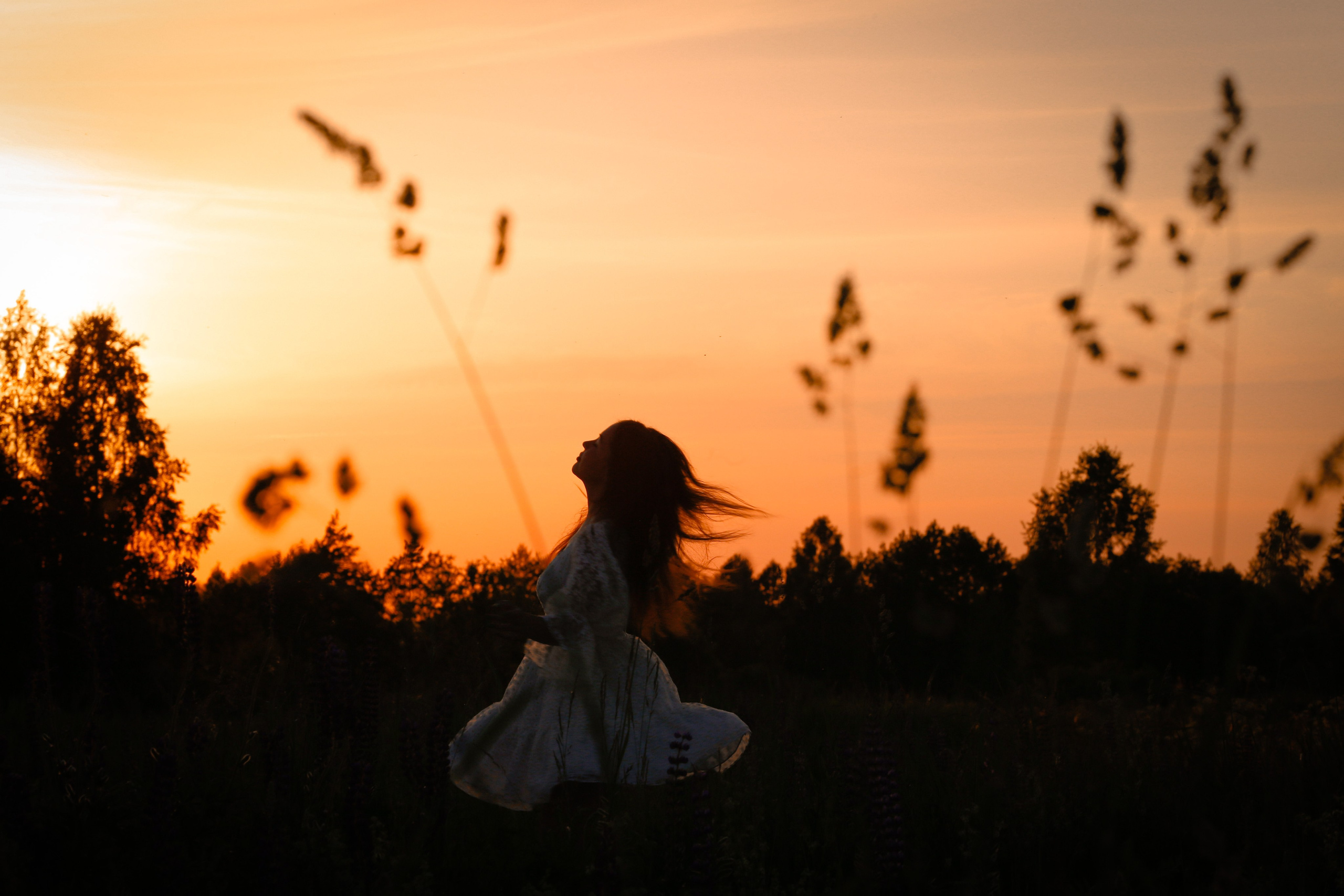 Среди люпинов. Efremovaphoto.ru