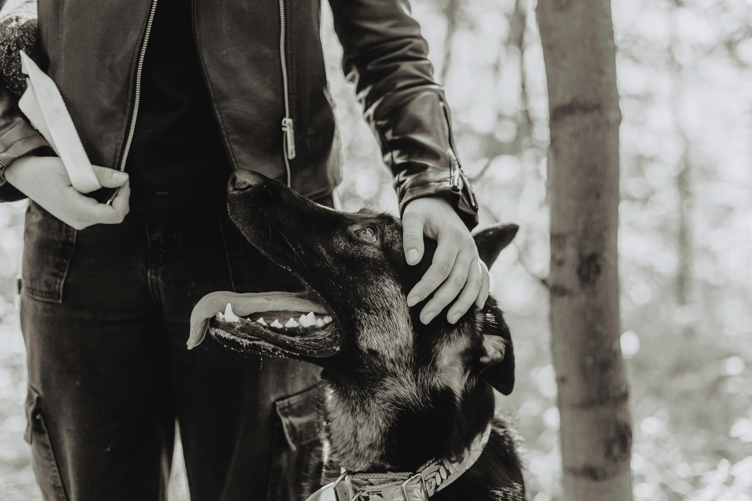 Илай. Фотограф-анималист Татьяна Степанова