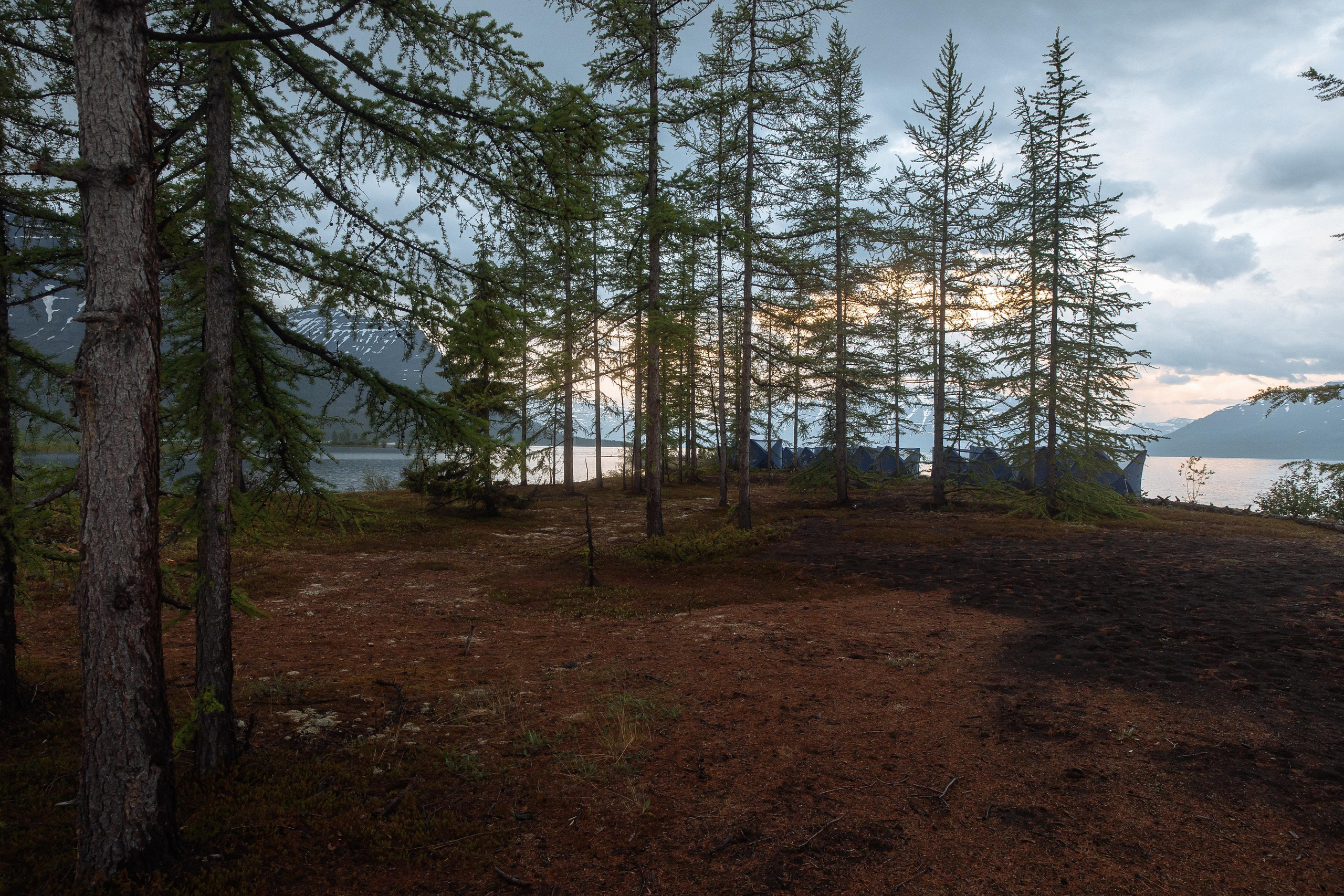 Женя и Диана. Свадьба на Ламе. Фотограф Норильск, Москва