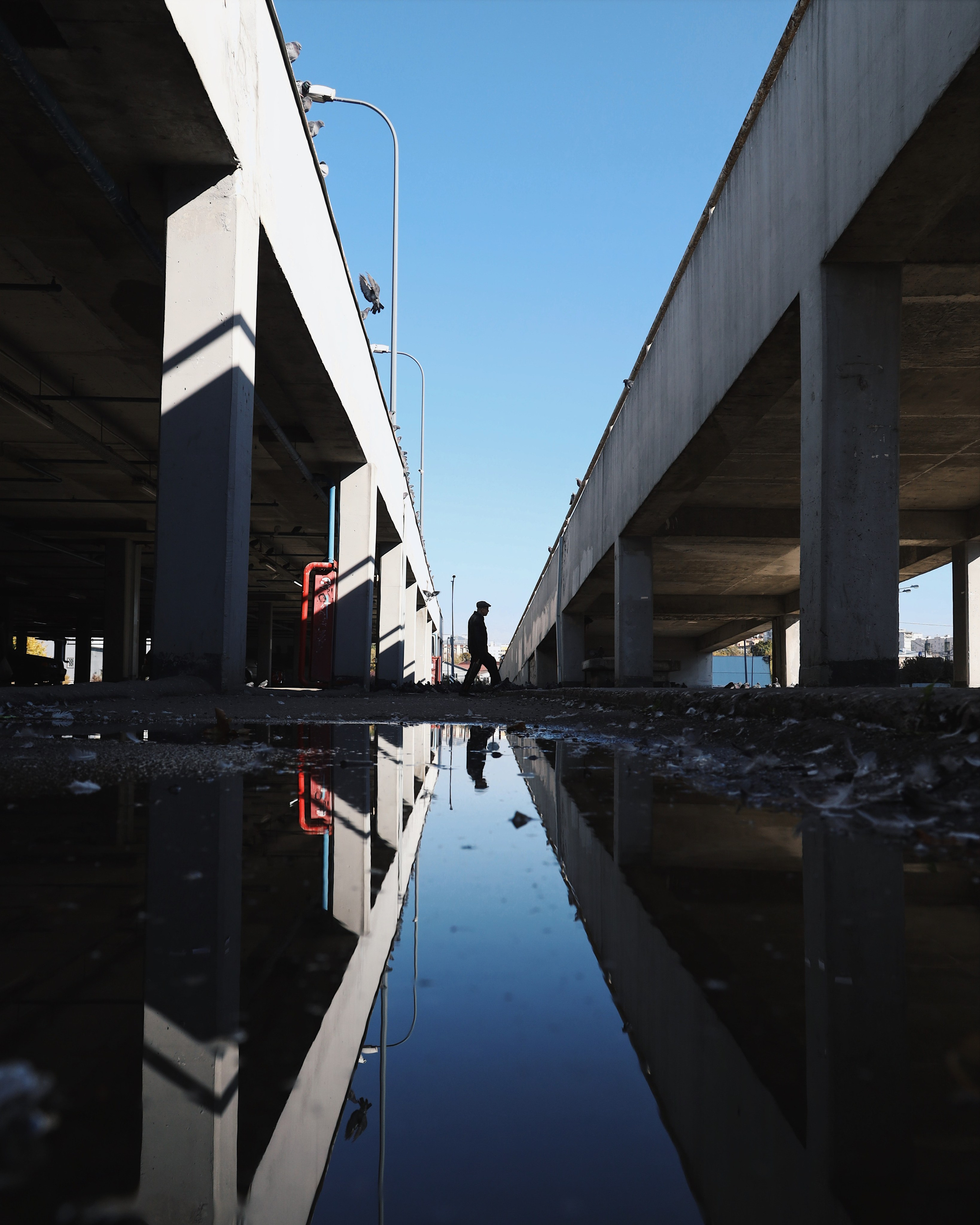 Фотограф Павел Подшивалов