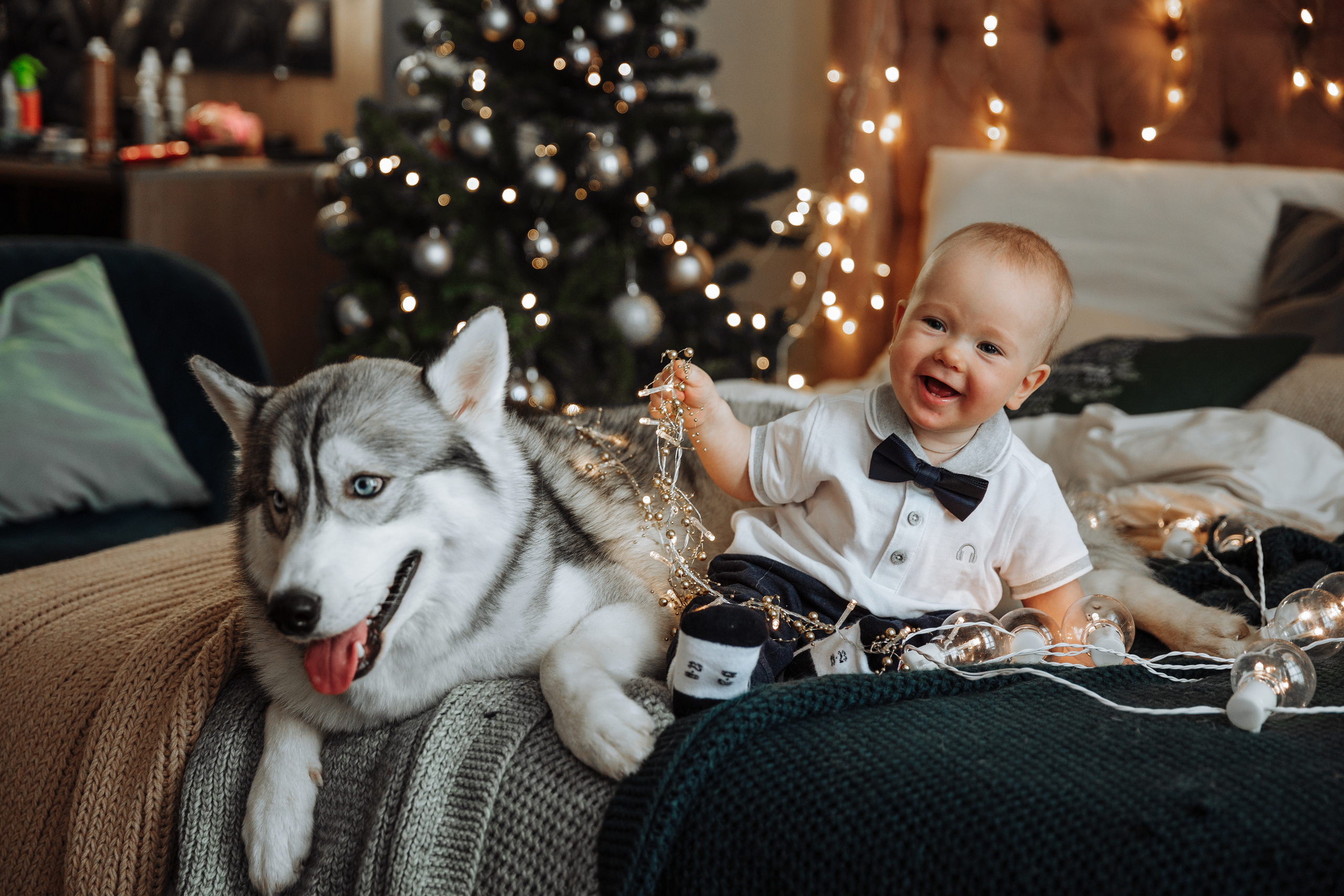 Новогодние фотосессии. Свадебный и репортажный фотограф Ольга Шевелёва