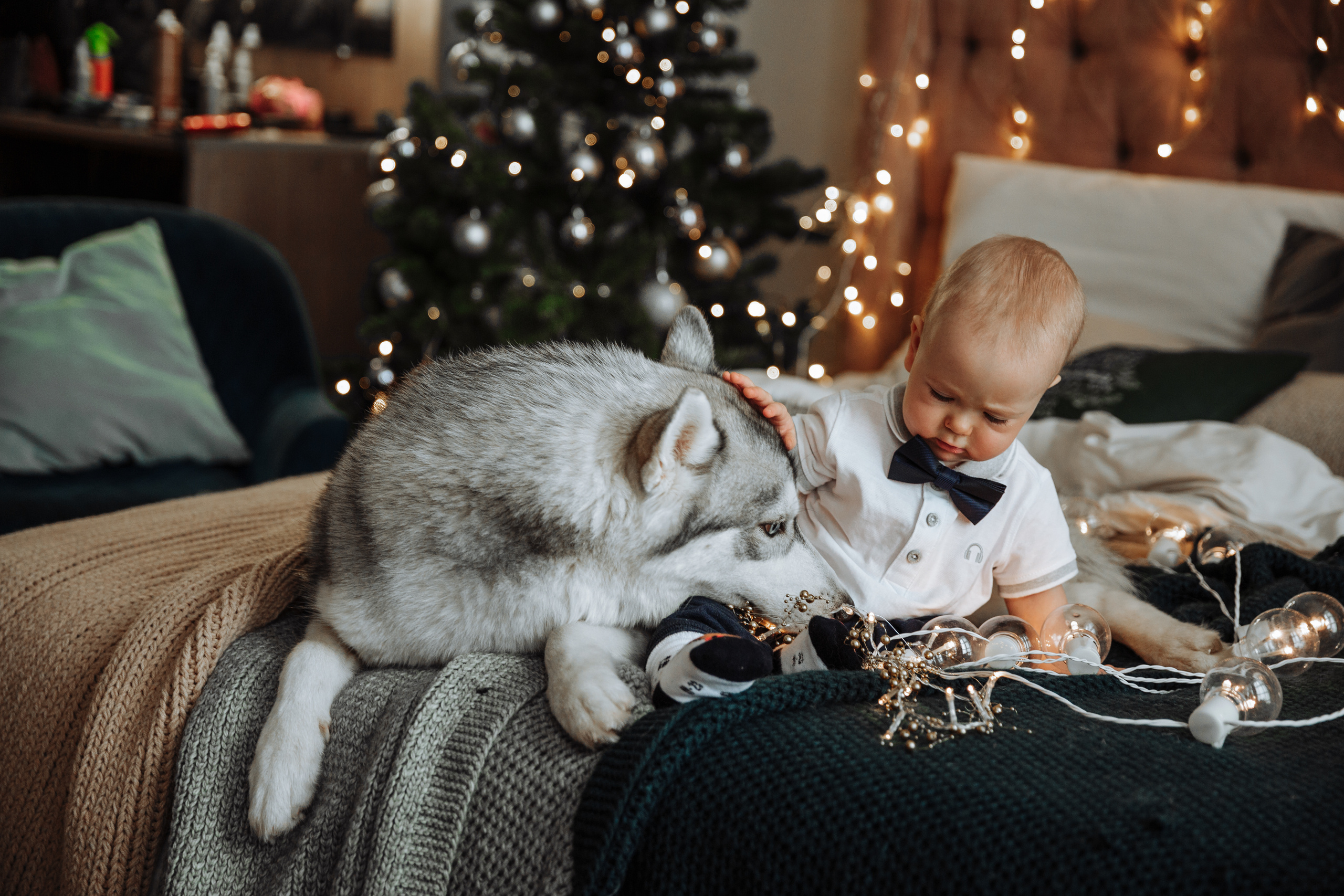 Новогодние фотосессии. Свадебный и репортажный фотограф Ольга Шевелёва