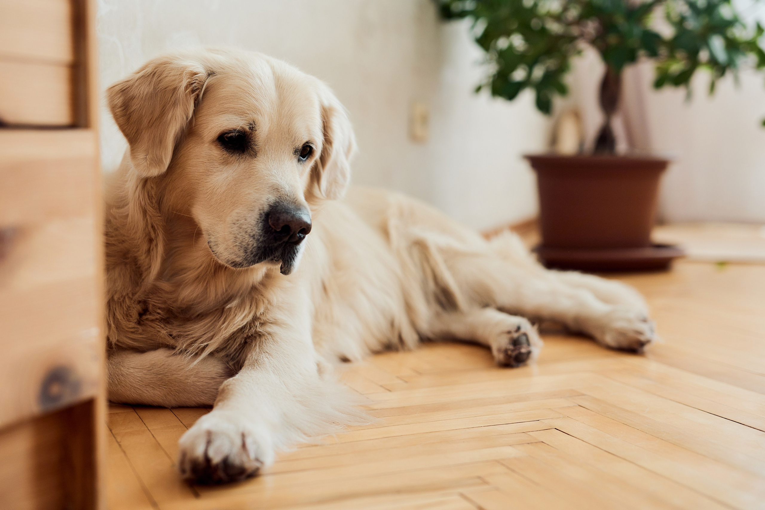 22. Фотограф Недорез Александр в Москве. Репортаж на ваших мероприятиях