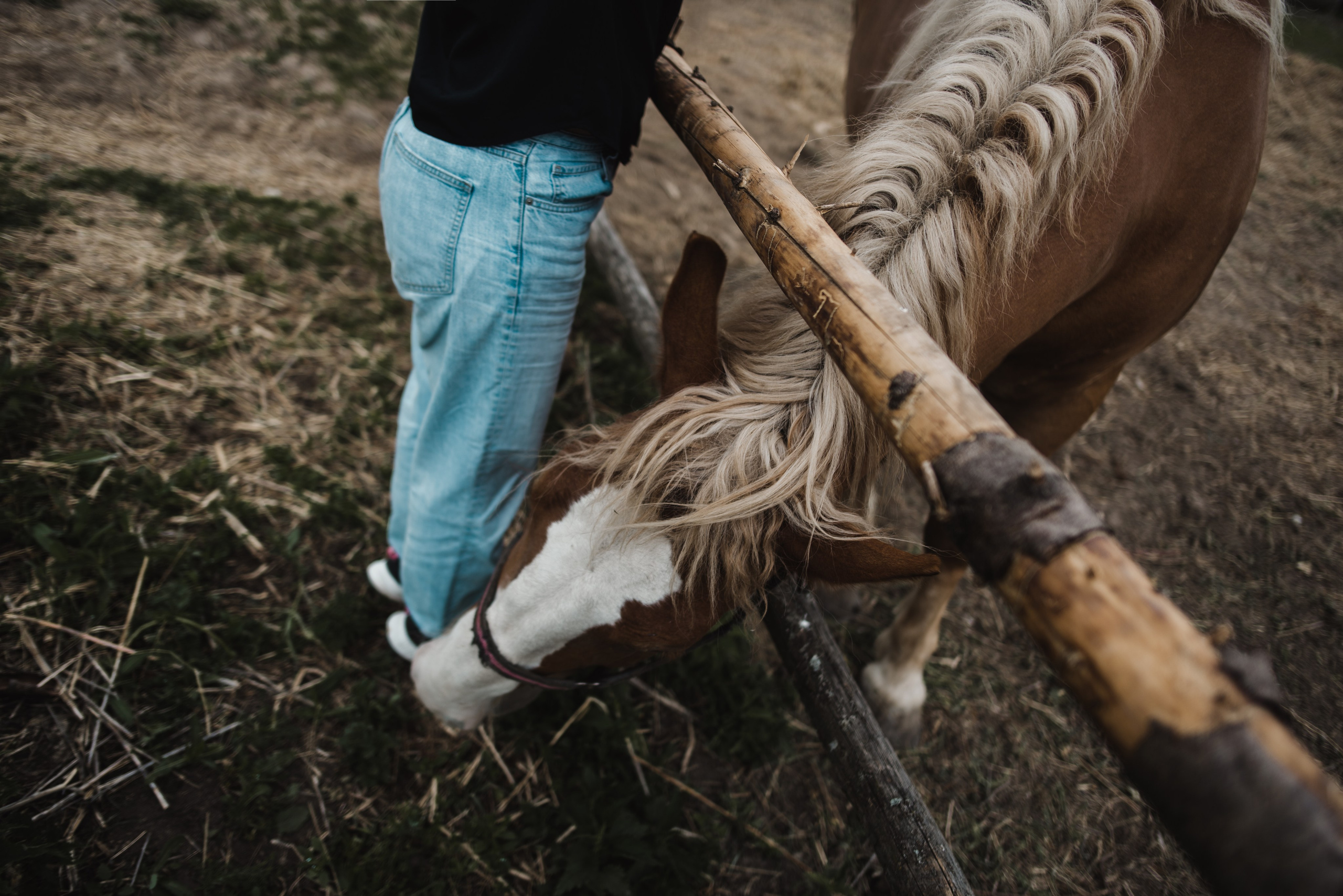 Фотосессия на улице для девушки. Контент фотограф Тула, Женя Ромашина. Фотограф Тула, Женя Смокина. Фотосессии на день рождения