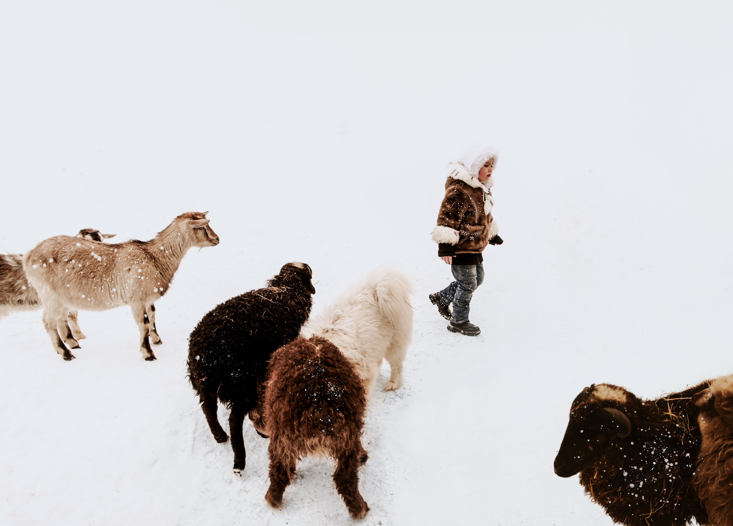 Детская фотосессия на годик в Туле, фотограф Женя Смокина
