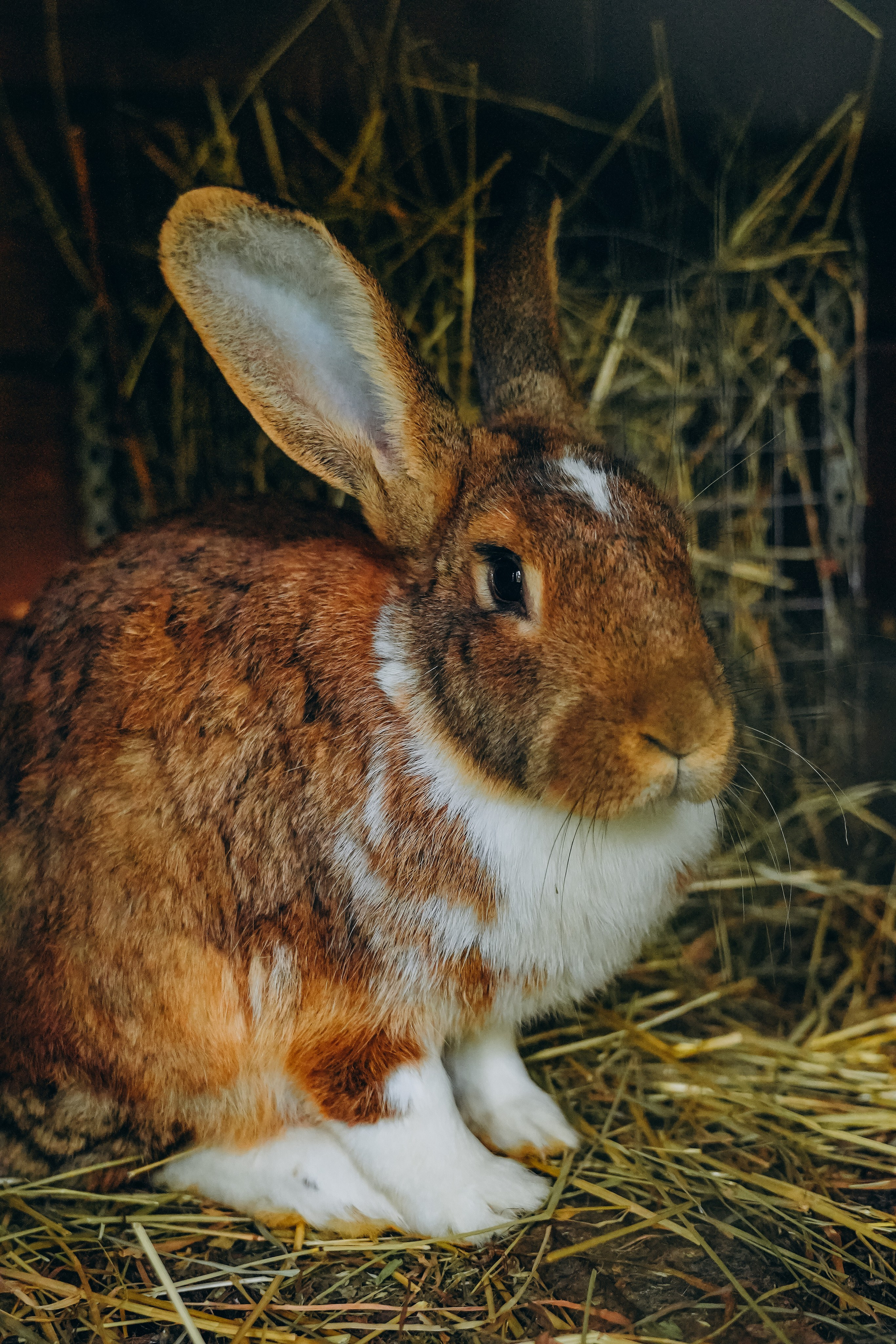 СЕВЕР. Event фотограф Степанова Александра