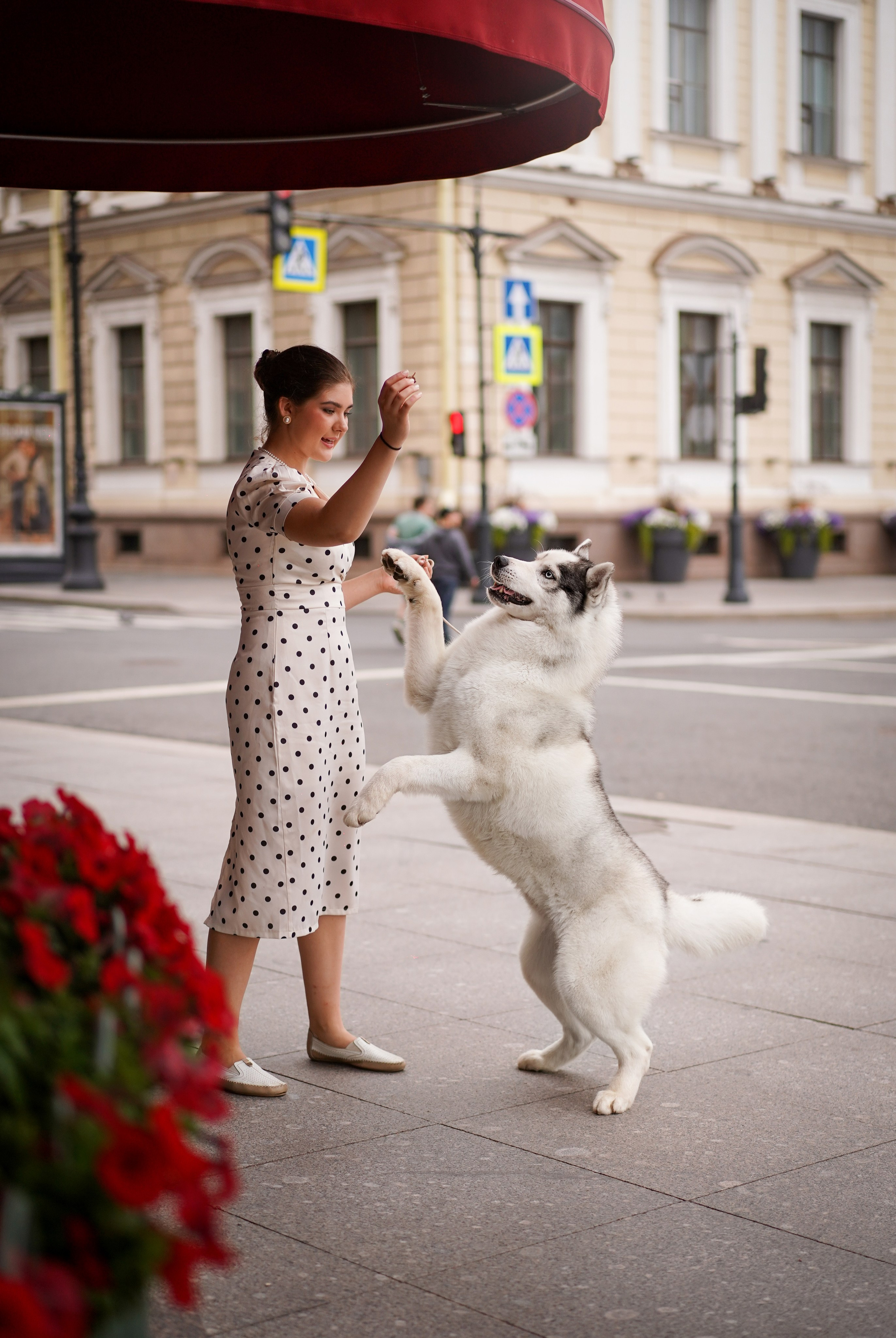 Саша Моня Вик и Гати. Фотограф-анималист в Санкт-Петербурге Яна Мартынова
