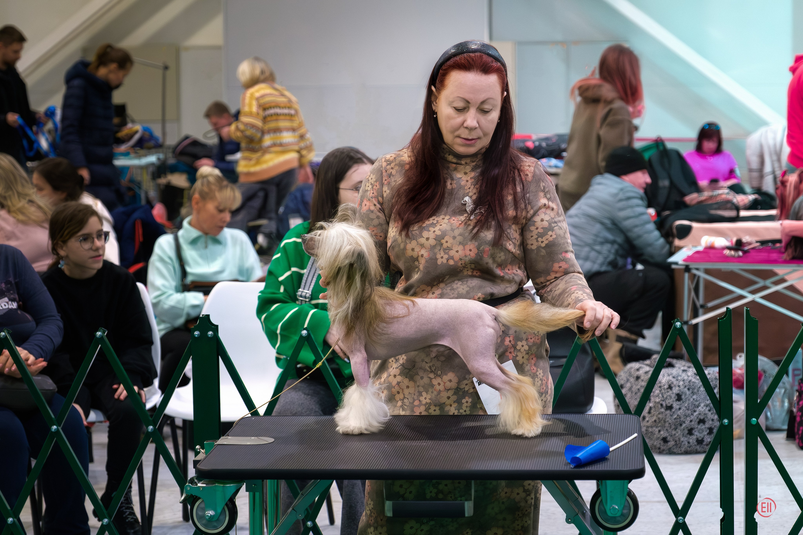 Монопородка в Крокус Экспо 03.12.2023. Фотограф в Москве