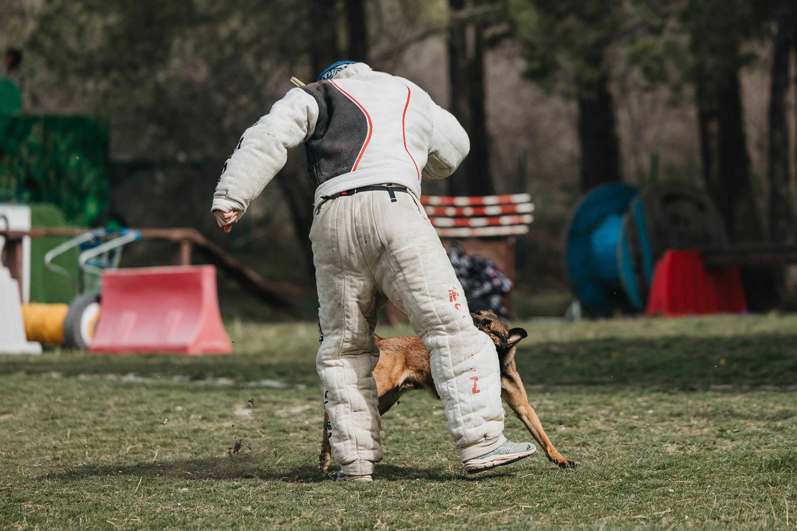Геленджик Мондьоринг. Фотограф-анималист Анна Маринич