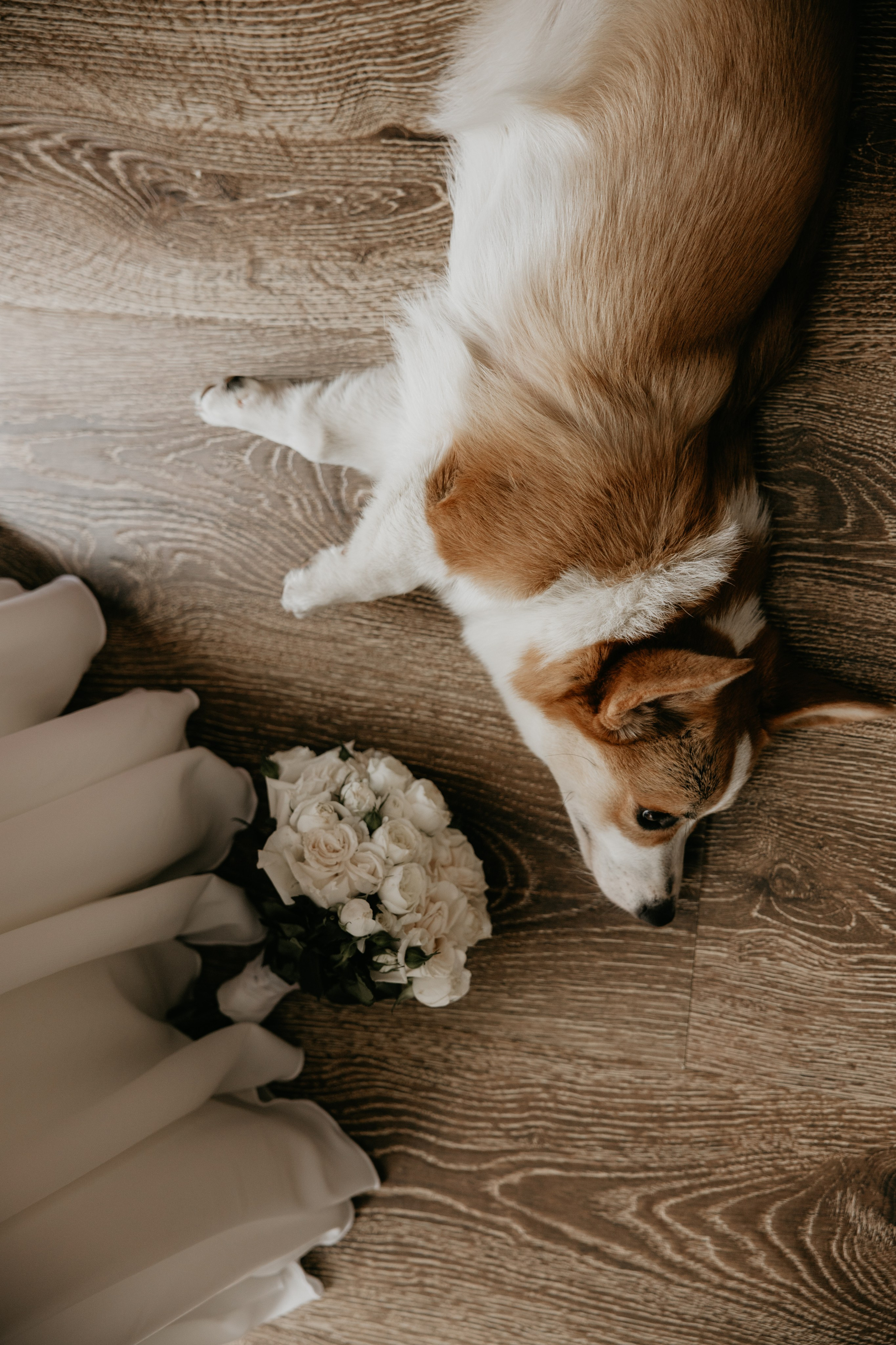 Свадебная серия. Свадебный фотограф в Иваново Гитарина Черняева