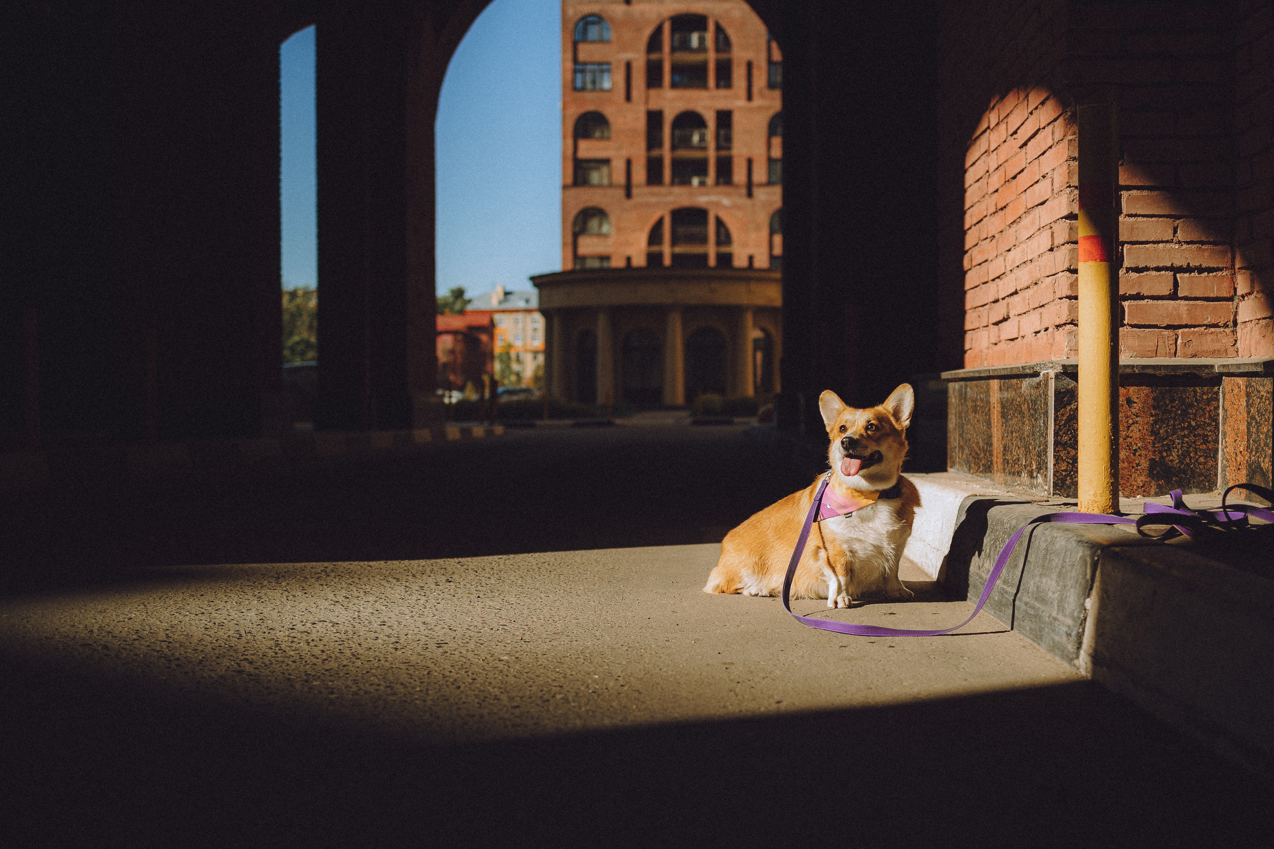 Вика и Мейзи