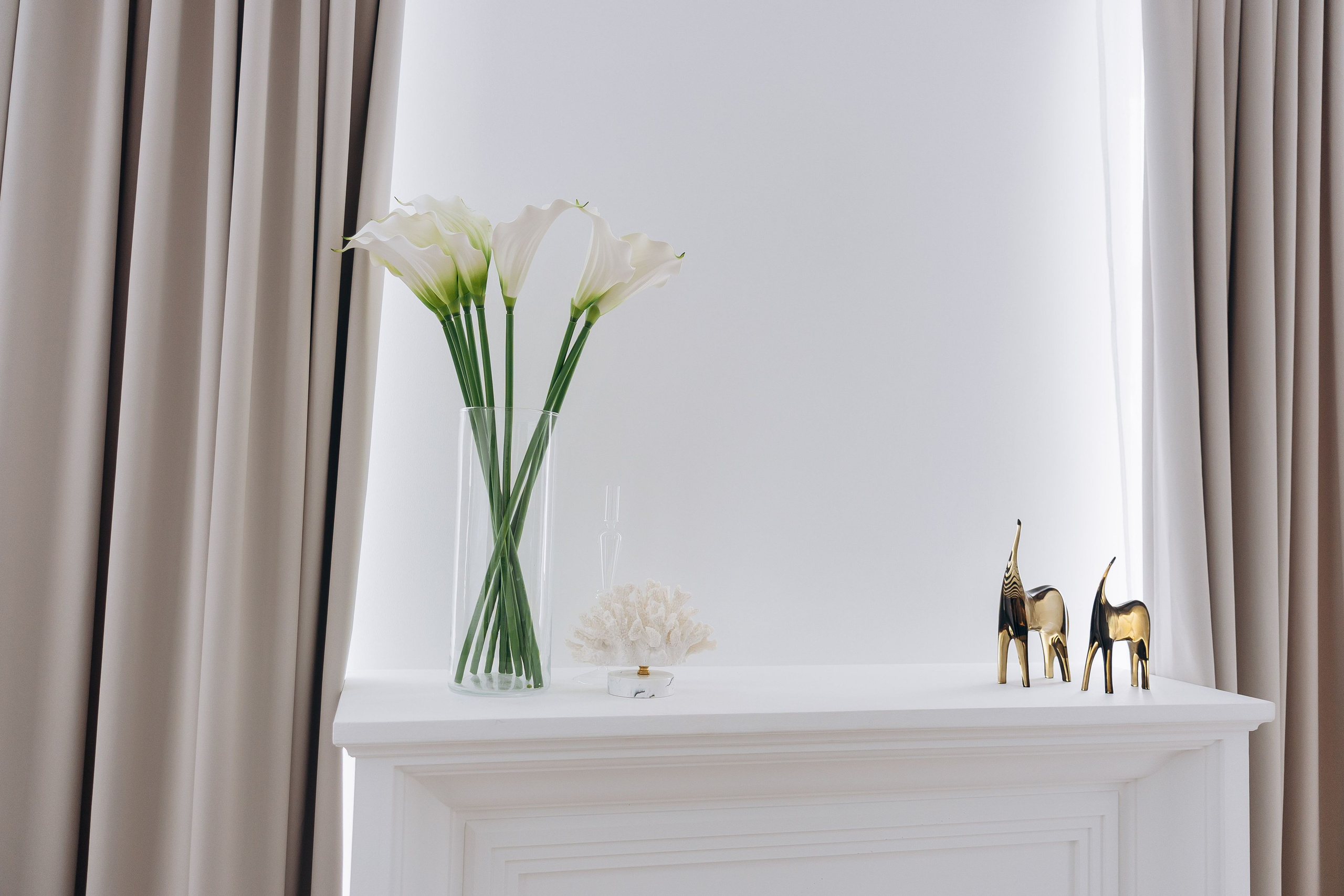 Фотостудия Delight