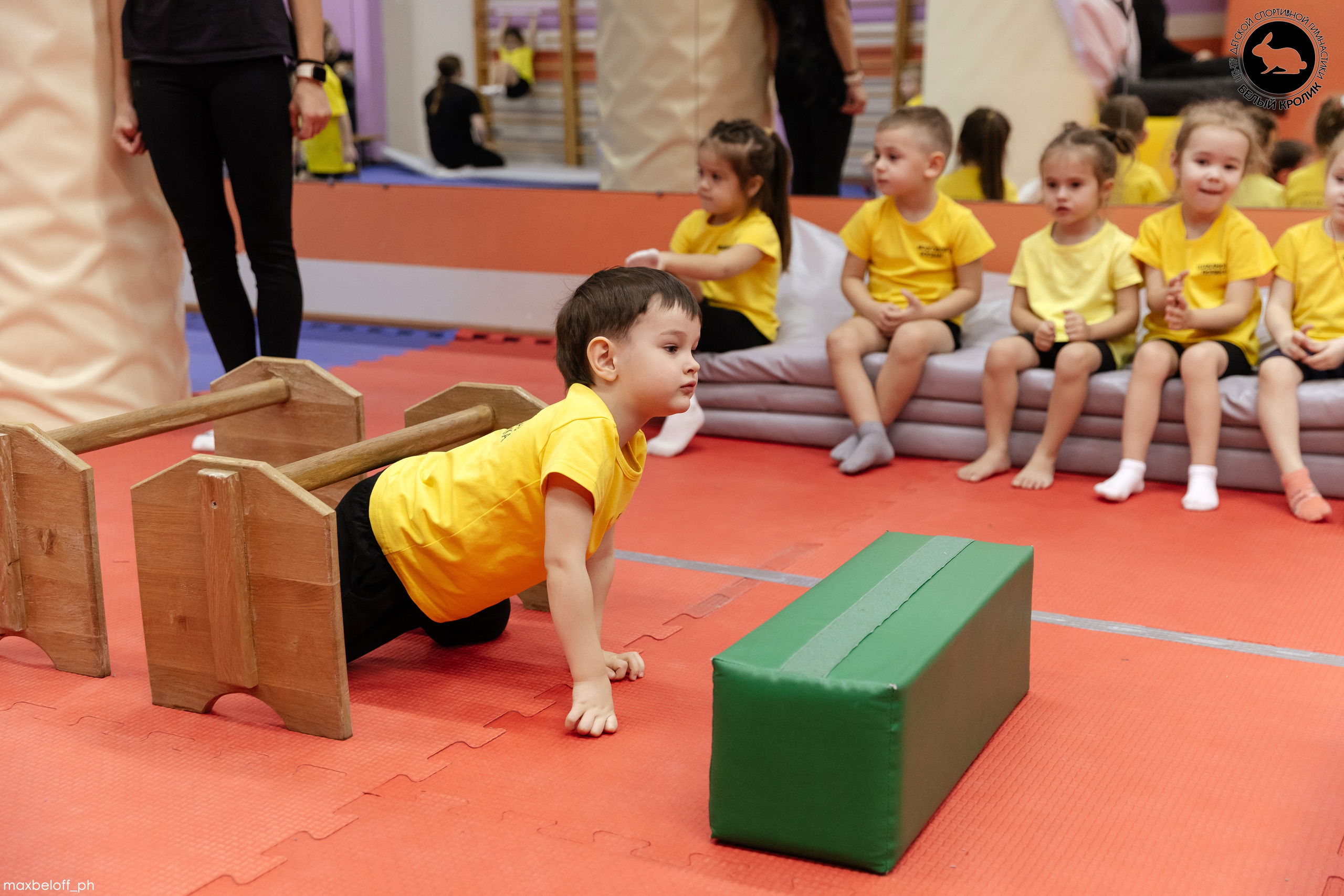 Белый кролик. Соревнования. Семейный фотограф — Макс Белогрудов