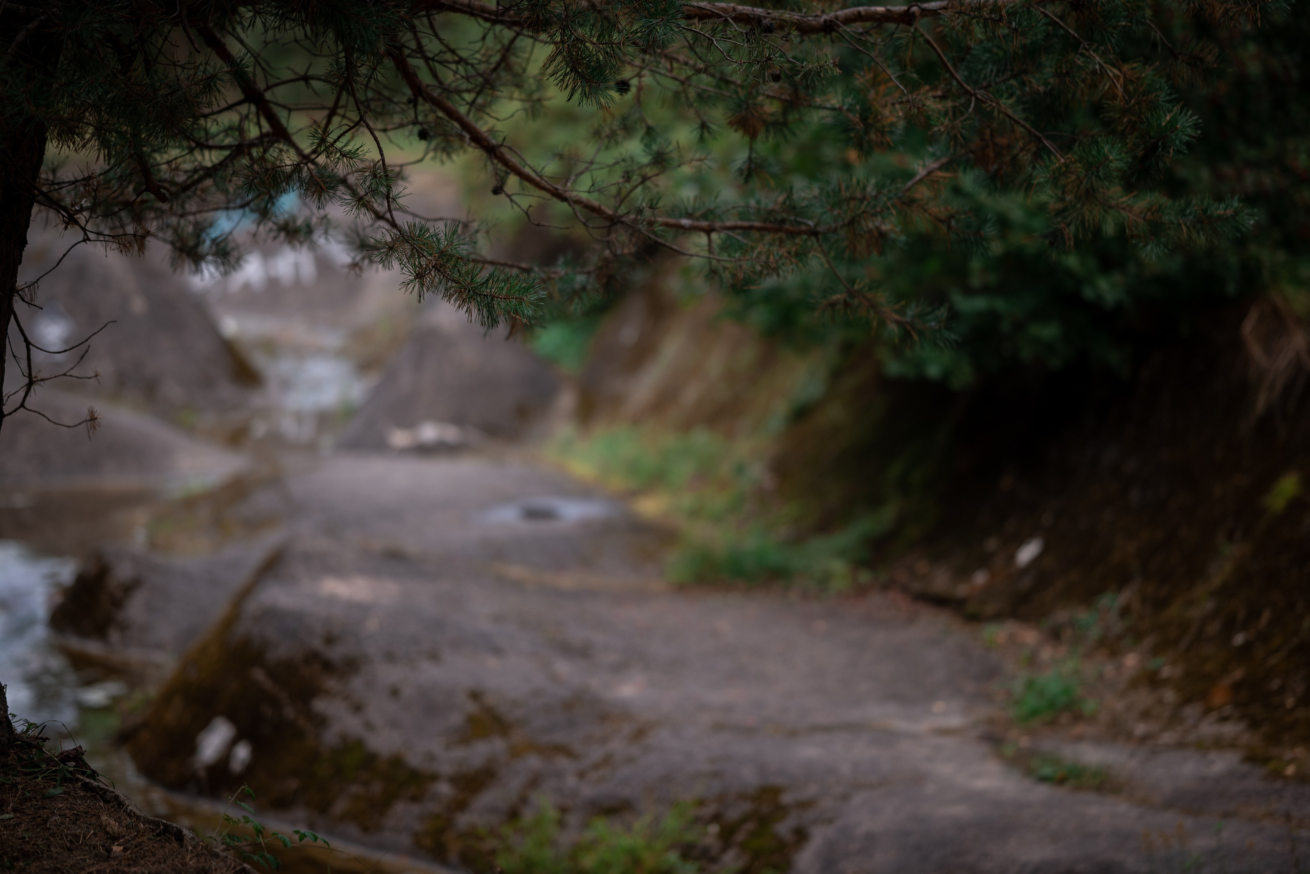 Места. Фотограф в Минске Дарья Кончакова