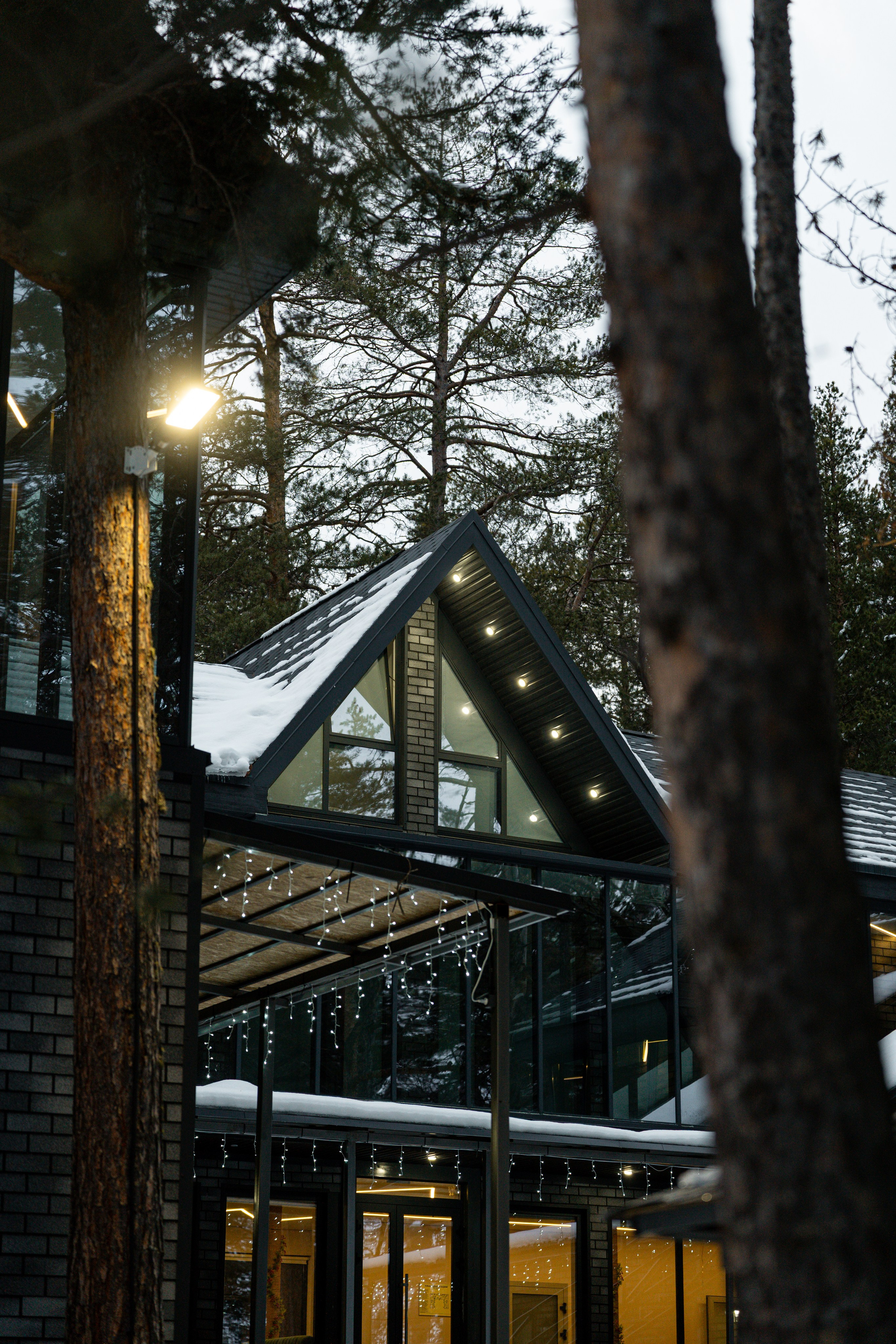 Эклер. Фотограф и видеограф Елена Хмелевская