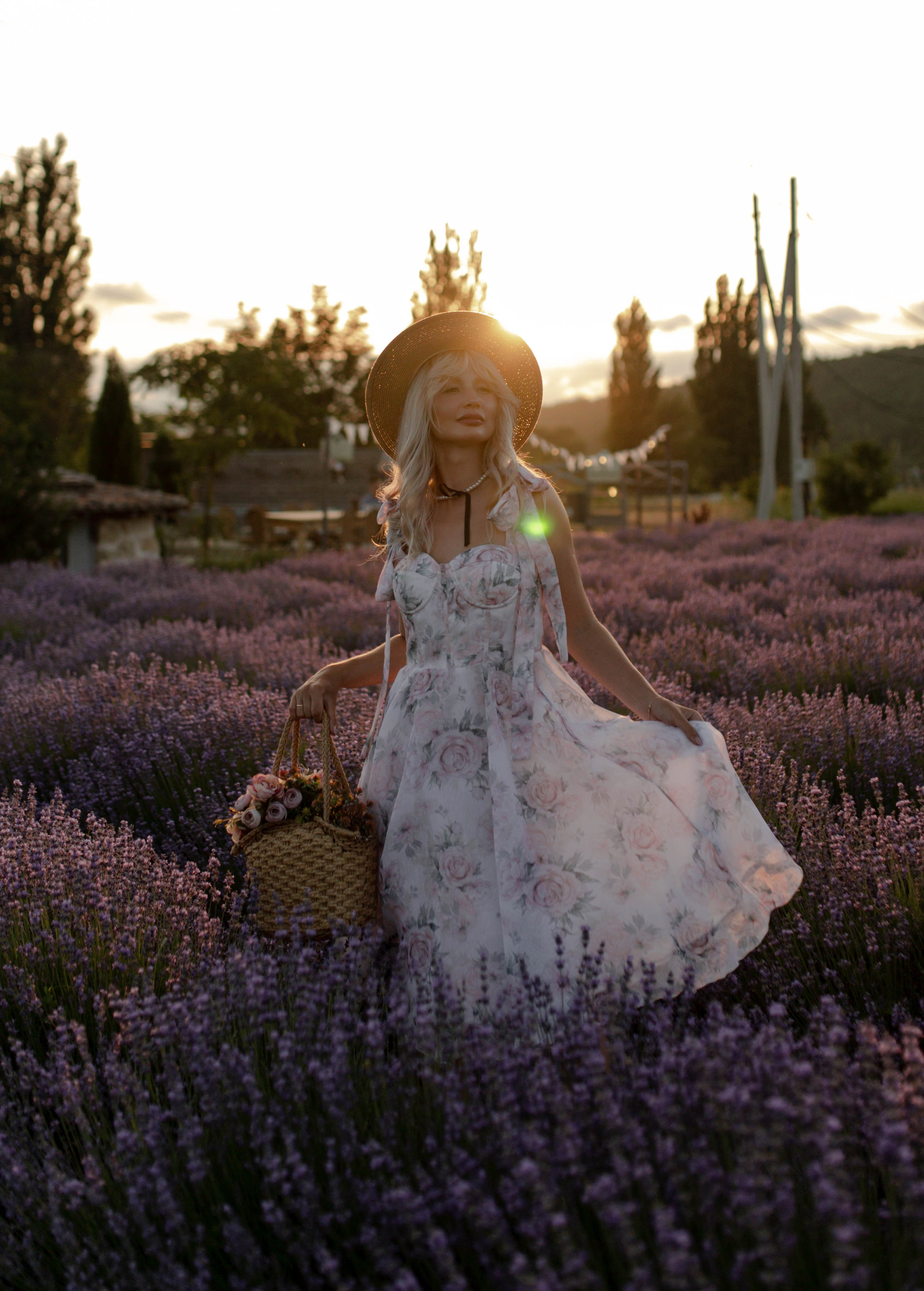 Лаванда. Фотограф Трифон Мира