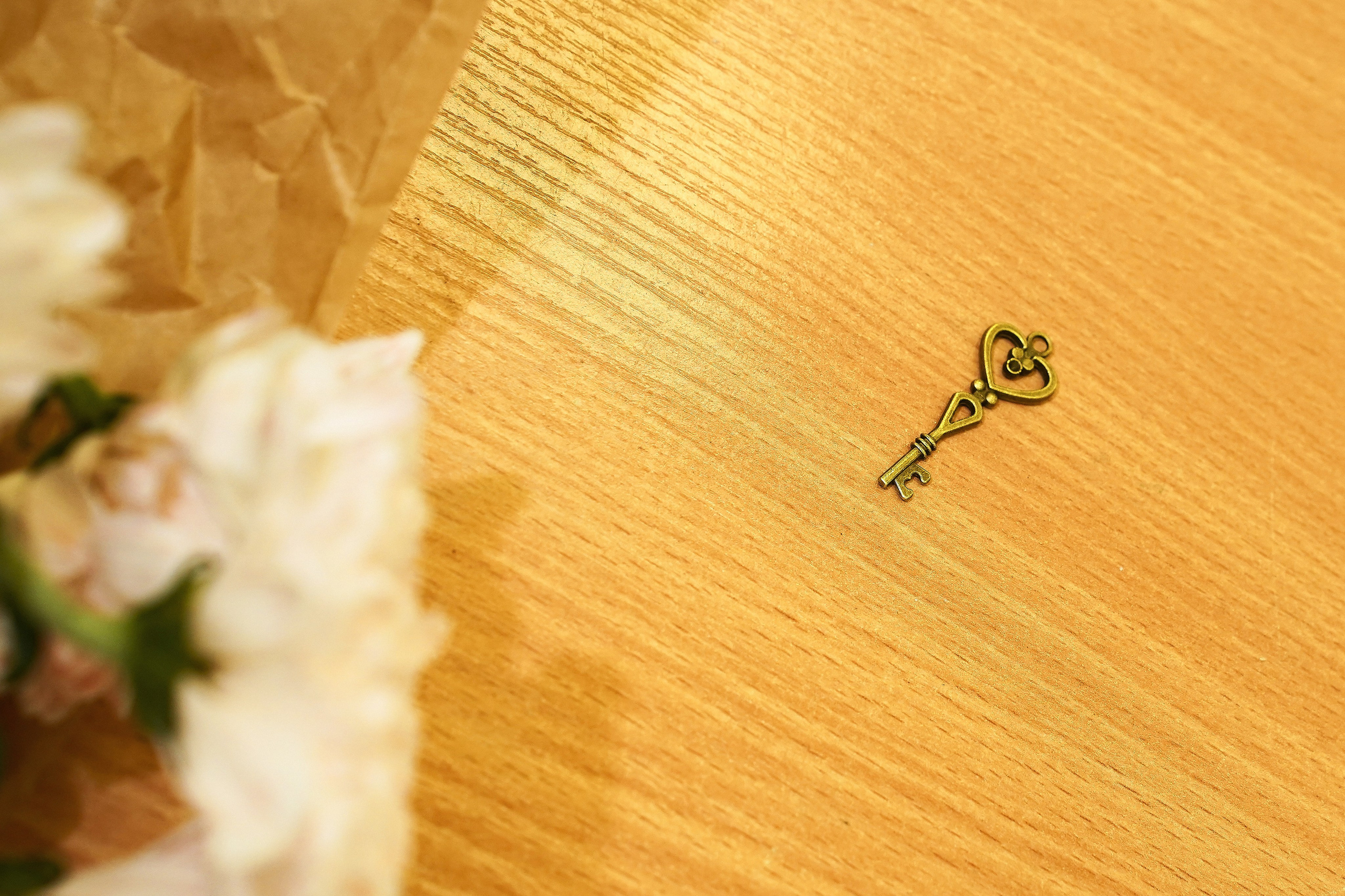 День Знаний 2025. Фотограф