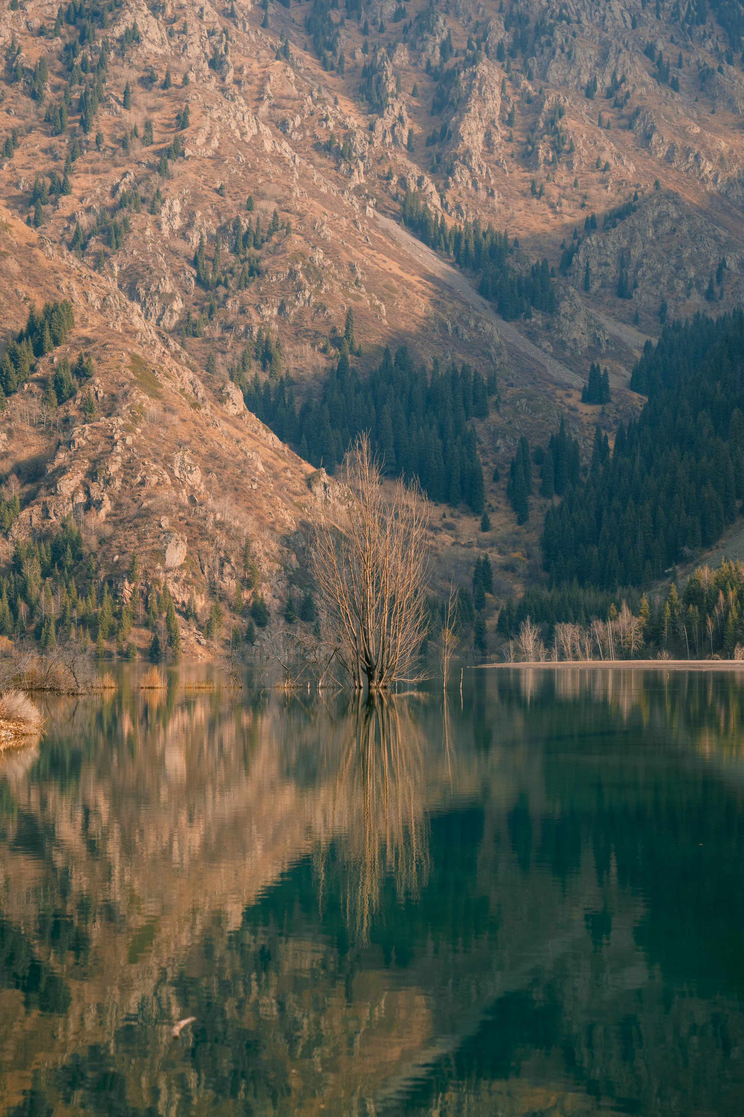 Озеро Иссык, осень 2025. Фотограф в Алматы — Алексей Коньков | Репортаж, свадьбы, портреты