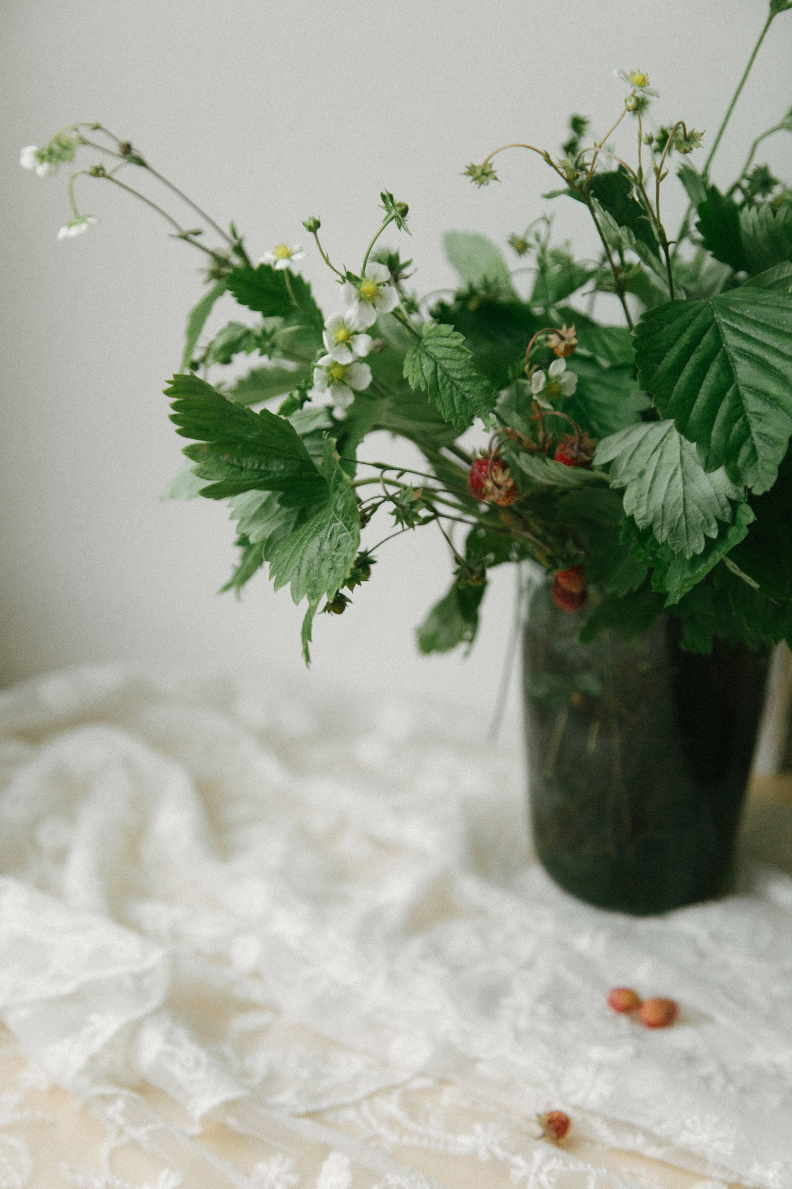 Предметная съемка. Фотограф Кристина Мурашова