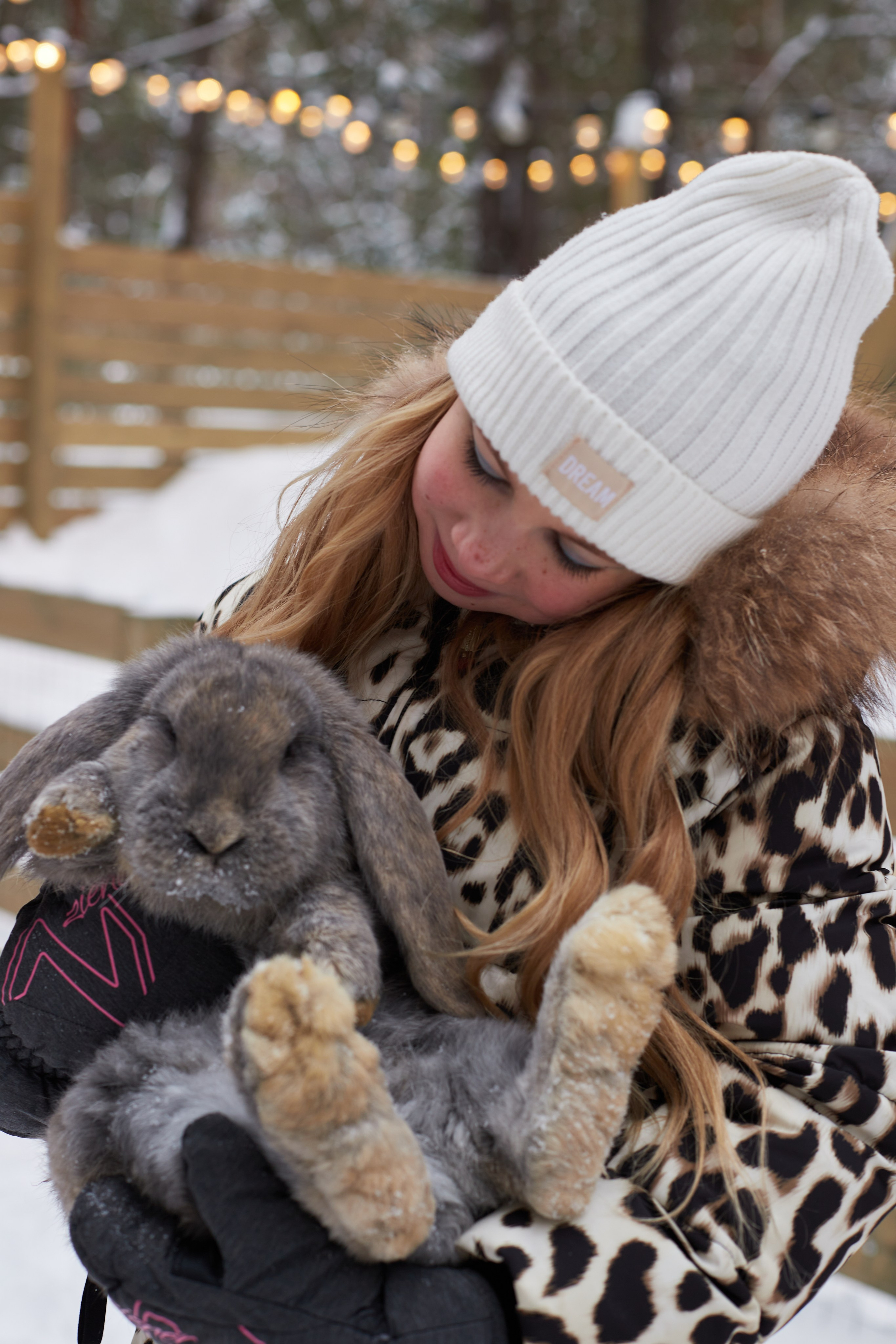 Альпака парк «Симба». Профессиональный фотограф Лилия Галеева
