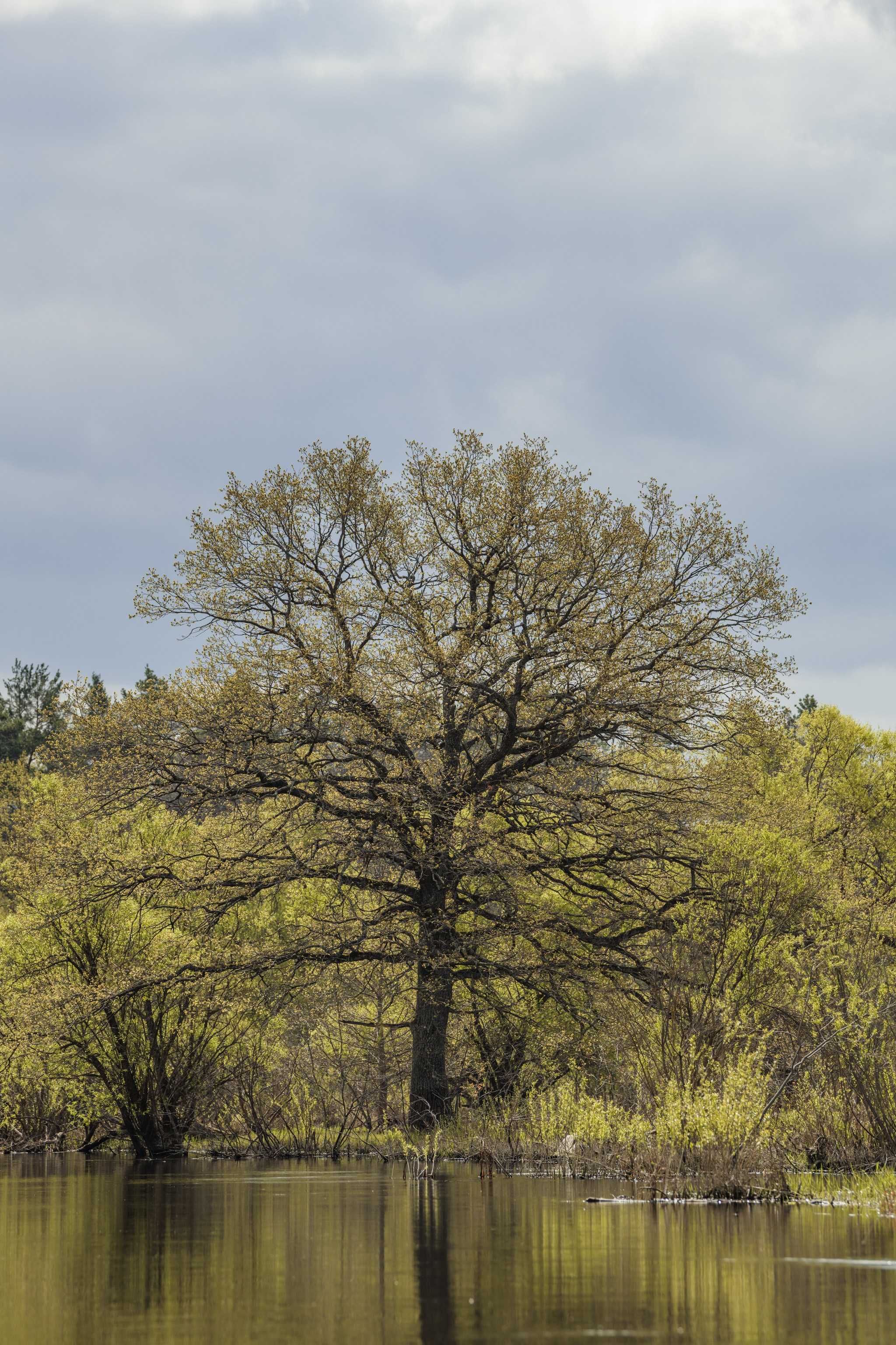 Водный поход 1-й кс по реке Случь. Репортажный фотограф Владимир Беляй