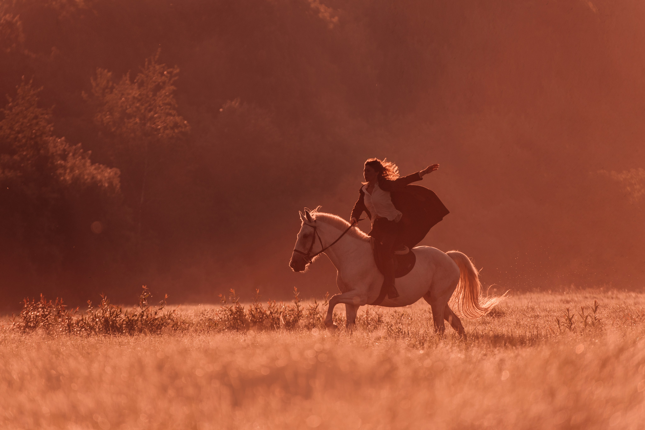 Конное: рассвет на поле с Лерой и Златой. Портфолио