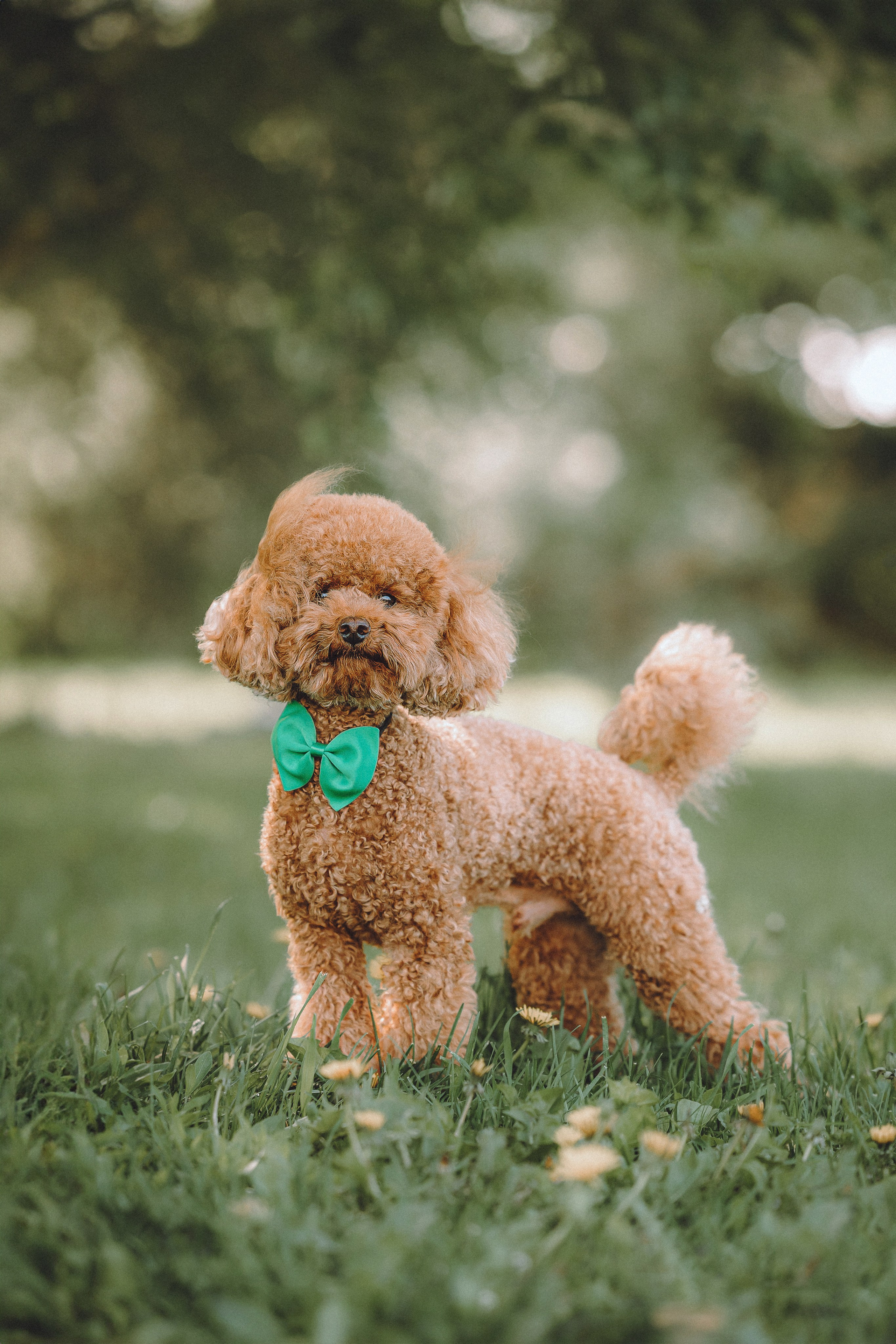 Марья и Буба