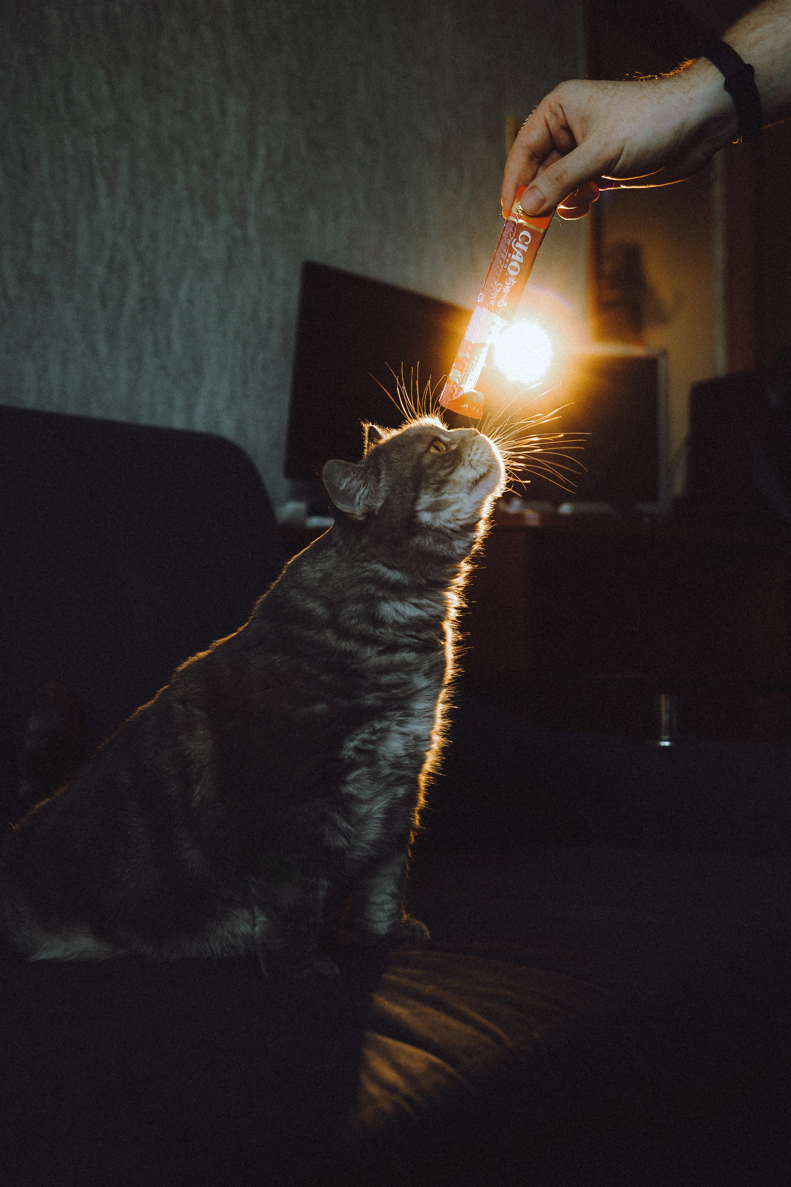 Яся и ее семья