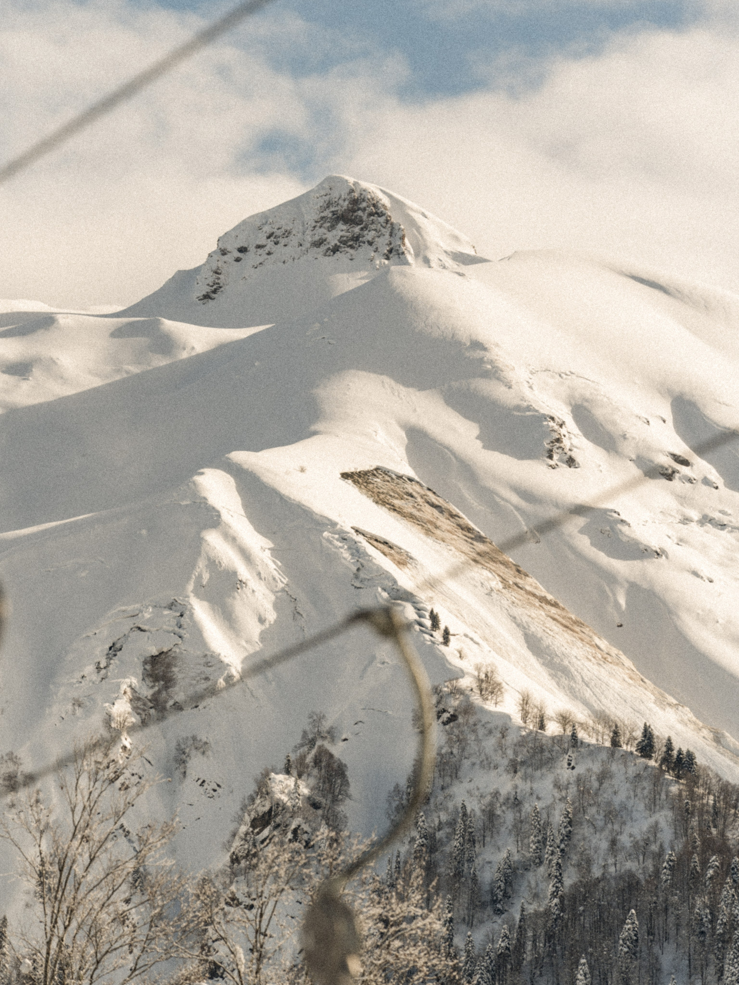 Анна. Репортажный фотограф в Красной Поляне и Сочи Павлюченко Екатерина