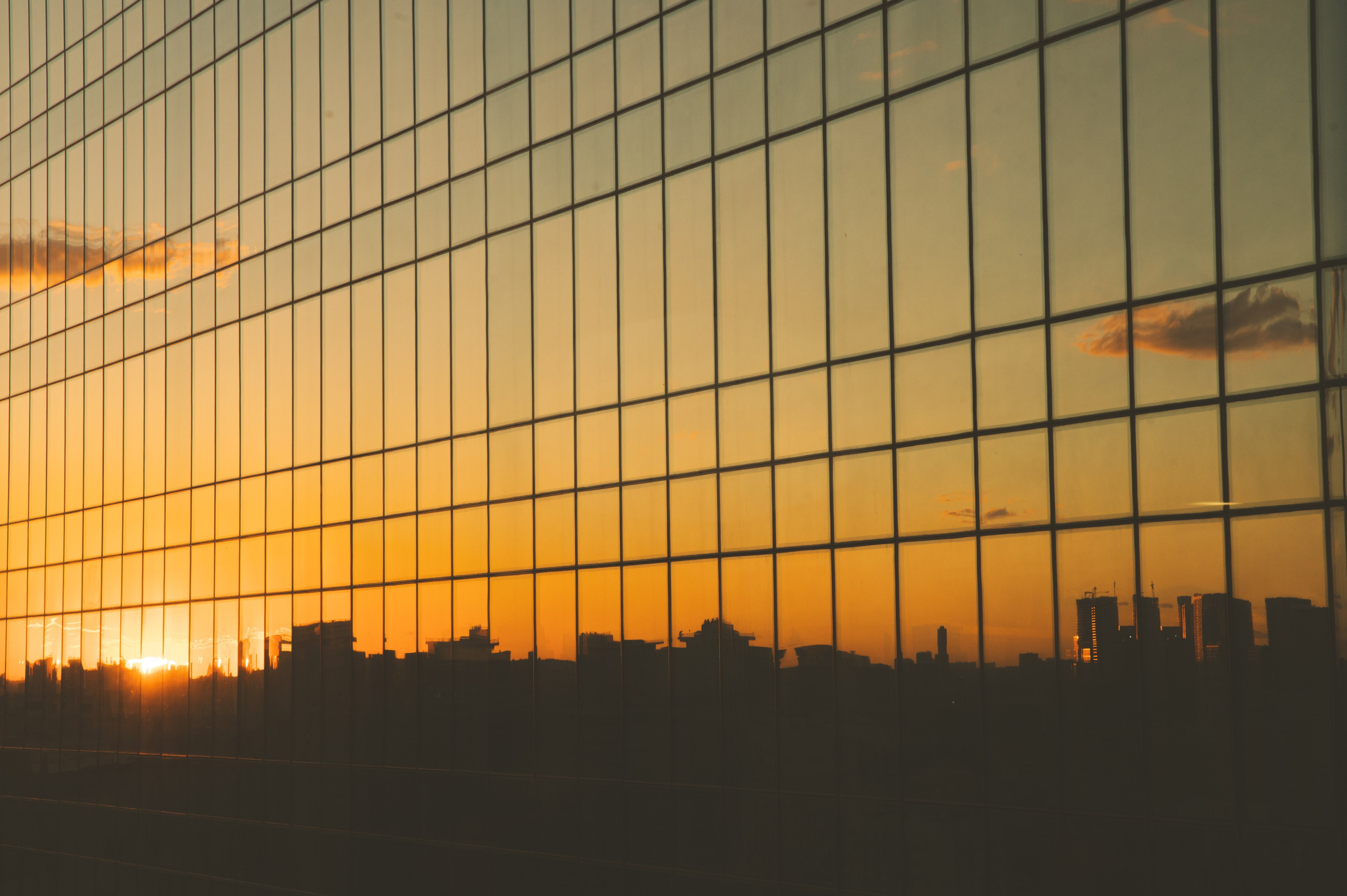 Мария и Алексей. Свадебный и портретный фотограф в Москве Жердев Даниил