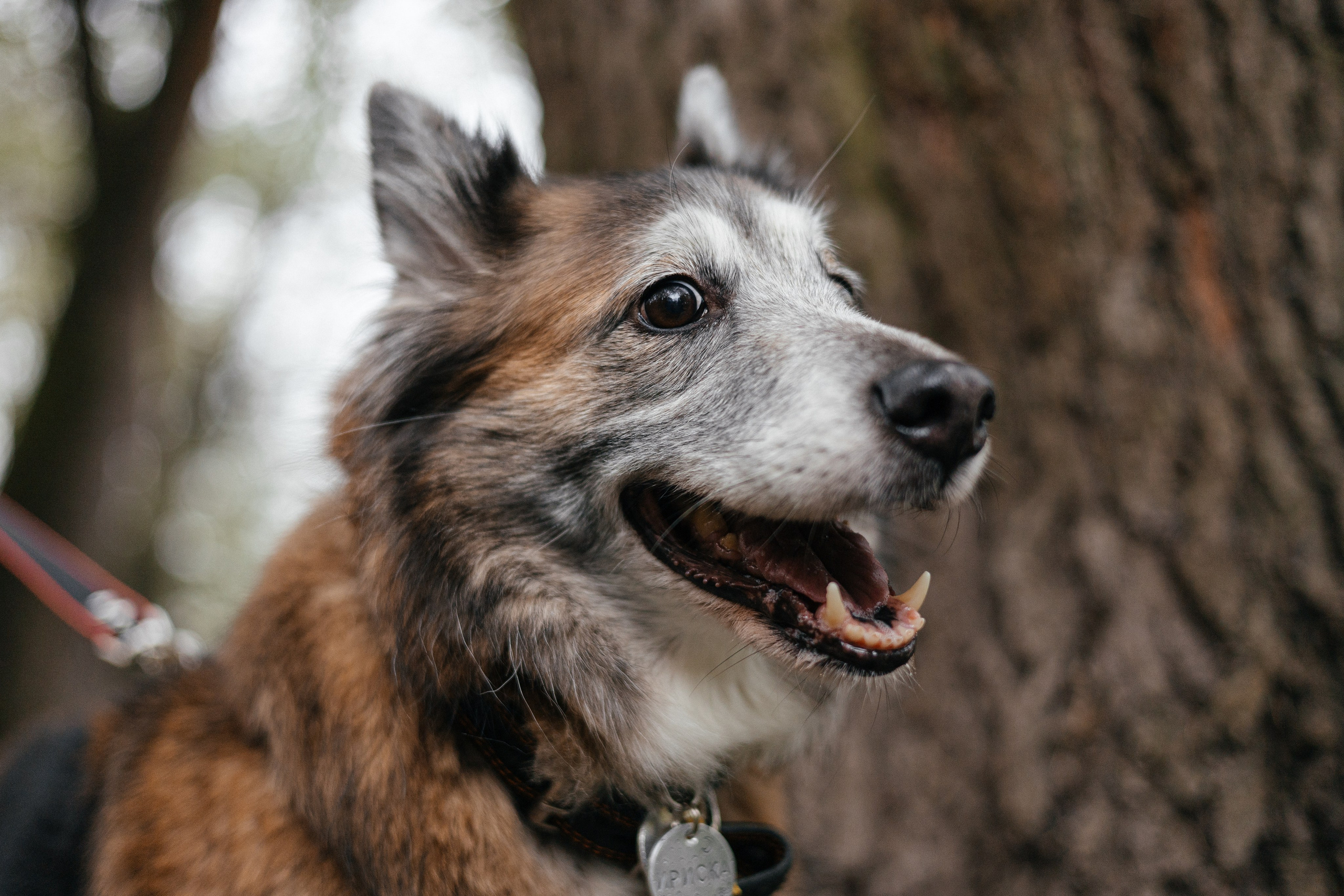Аня и Ириска. Фотограф Анна Луценко Москва