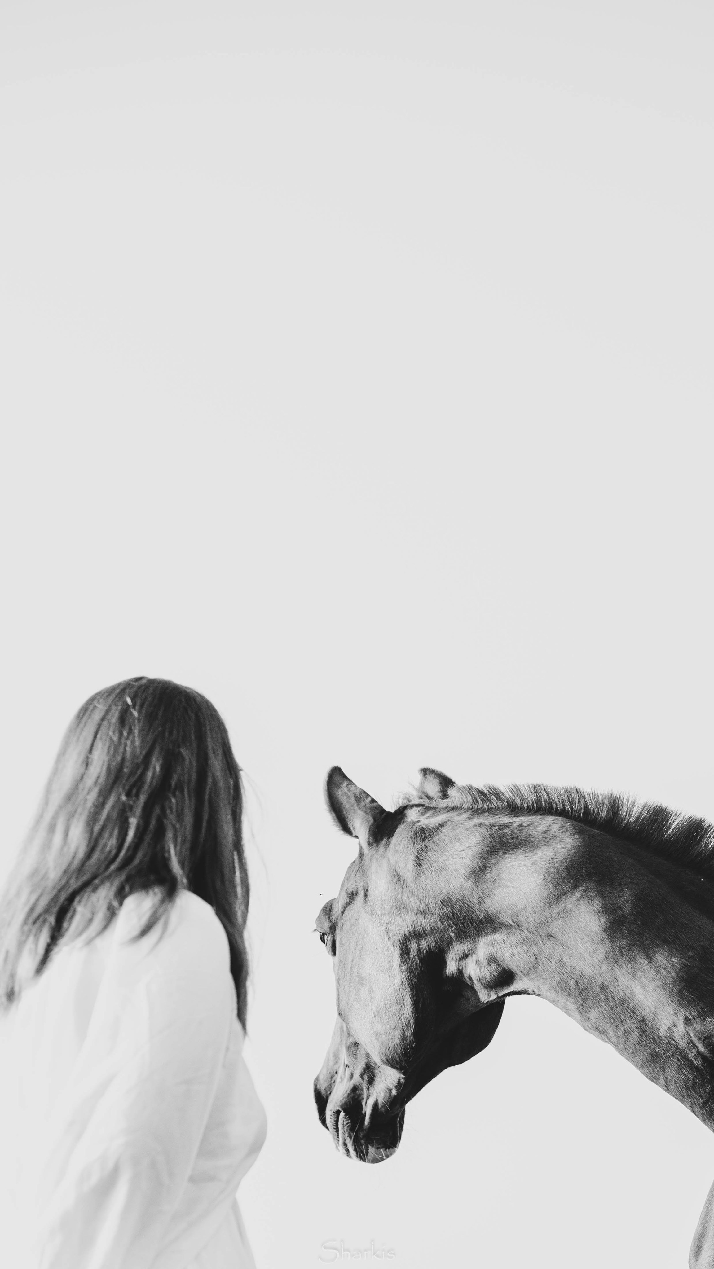 Аня и Гас. Главная