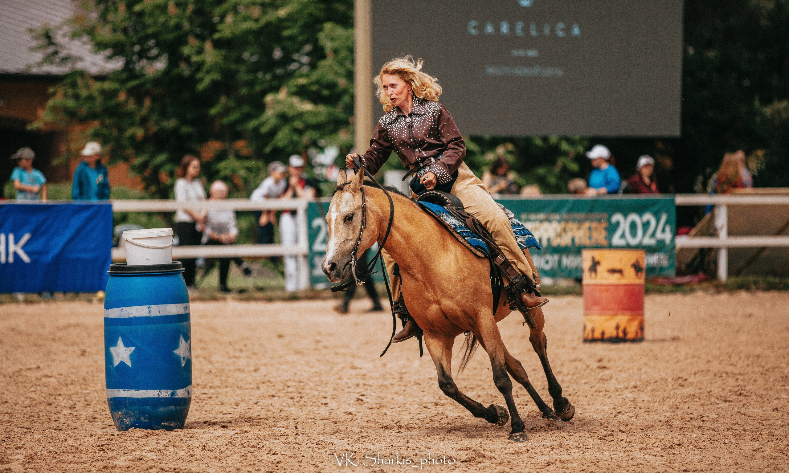 Лошади. Главная