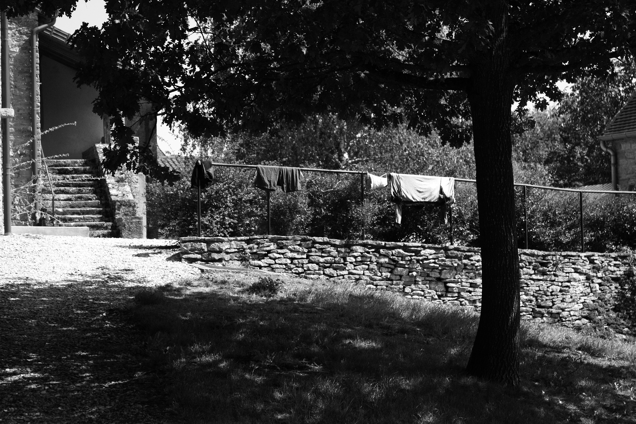 Taize Communaute. Фотограф-любитель Ксения Мирзоян