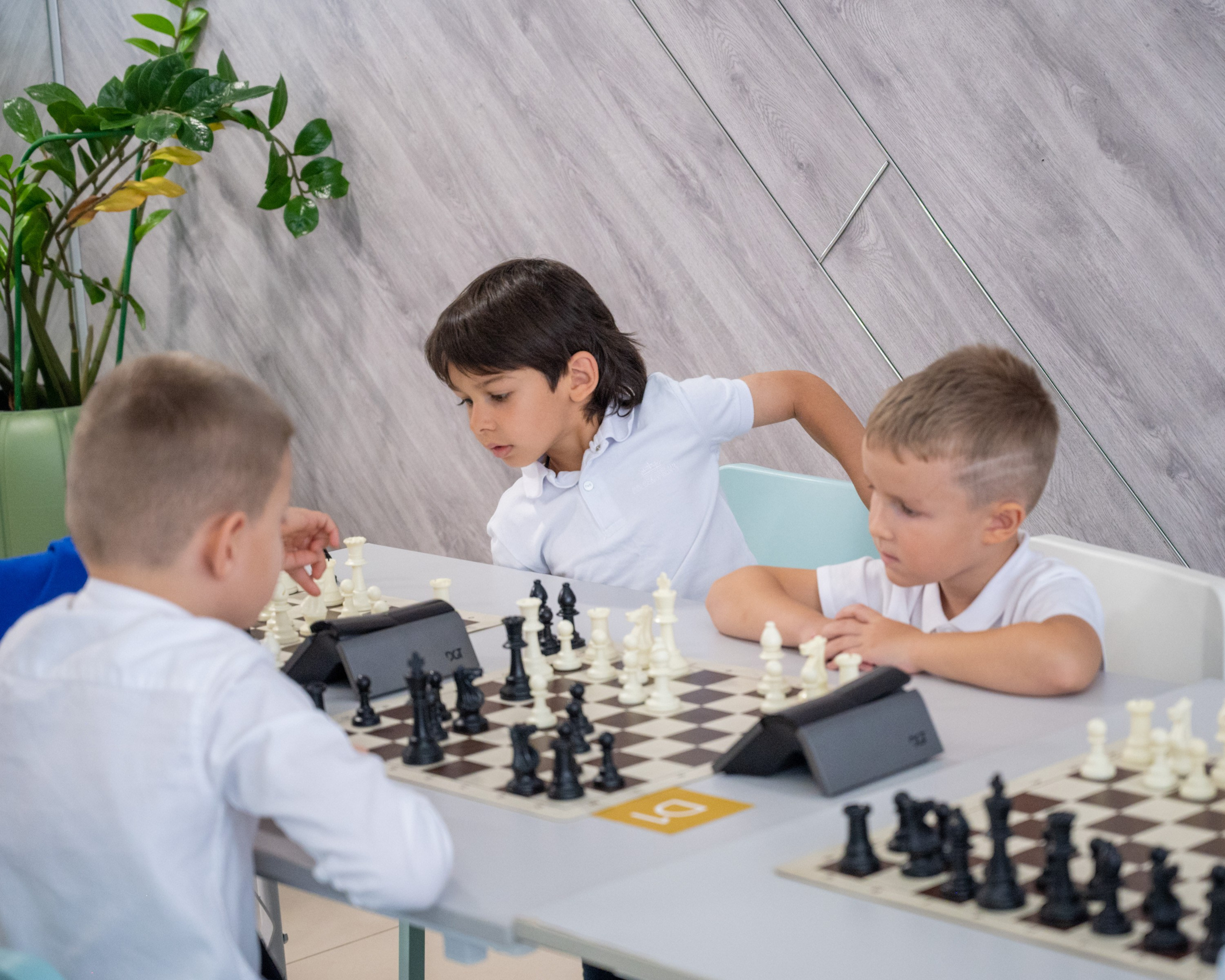 Турнир по быстрым шахматам «ОСЕННИЙ КУБОК"♟. Фотографирую счастливых людей в Сочи