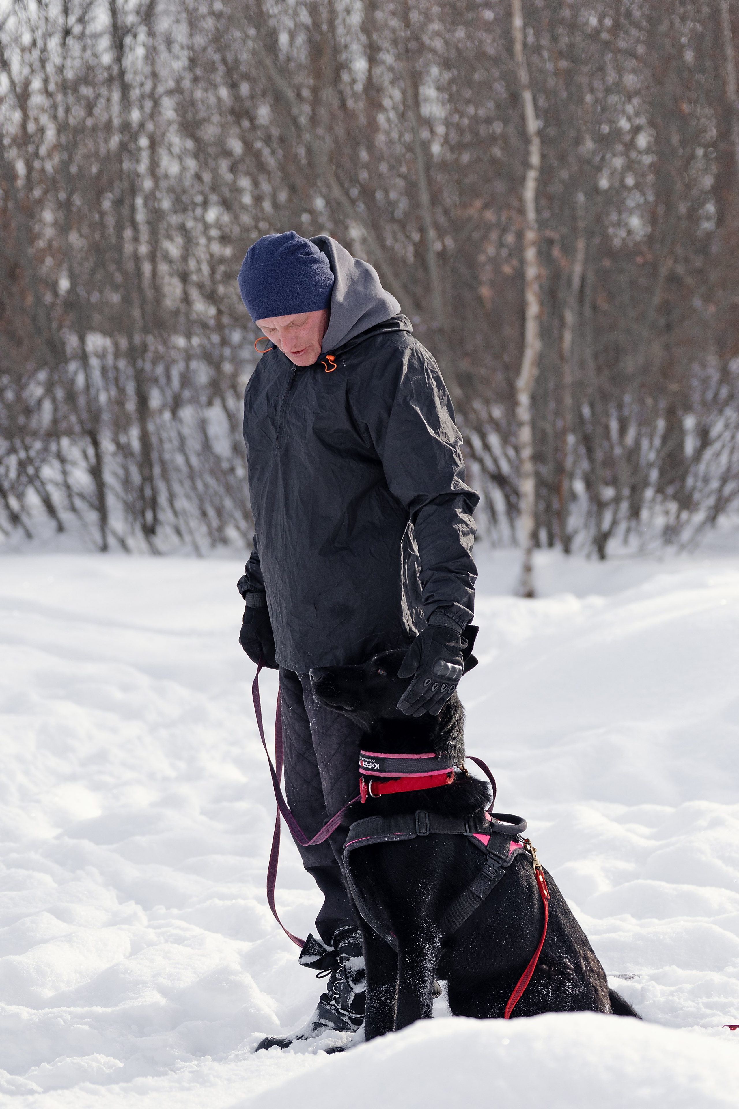 Репортажная съемка. Фотограф-анималист Нижний Новгород