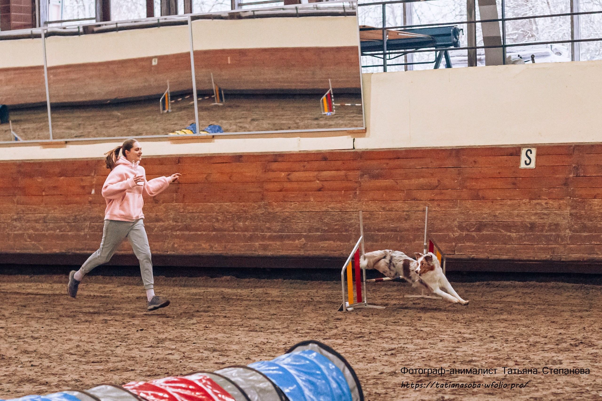 Соревнования по Аджилити 25.02.2024. Фотограф-анималист Татьяна Степанова
