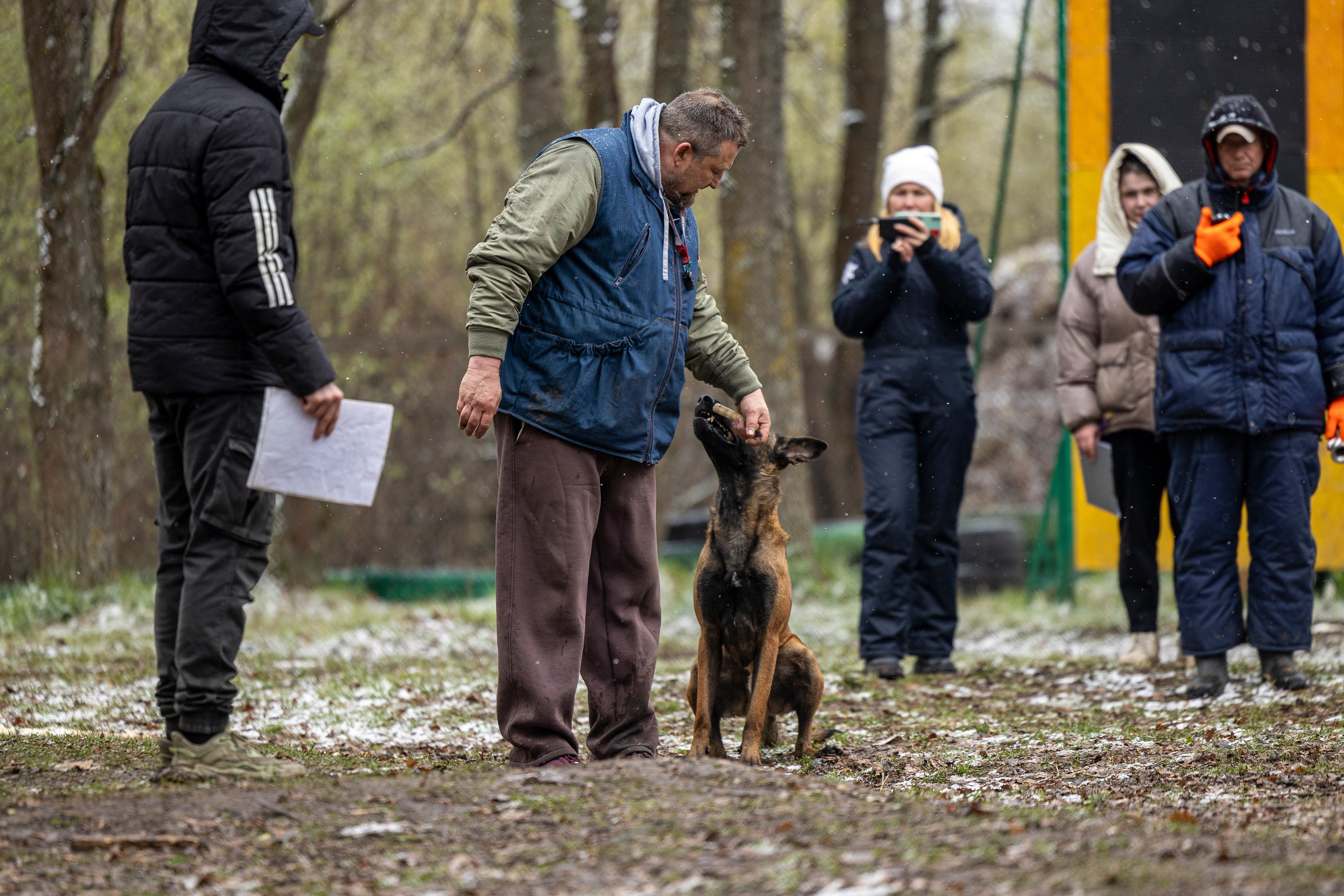 Квалификационные состязания по мондьорингу г. Вологда 11.05.24. Фотограф-анималист Анна Маринич