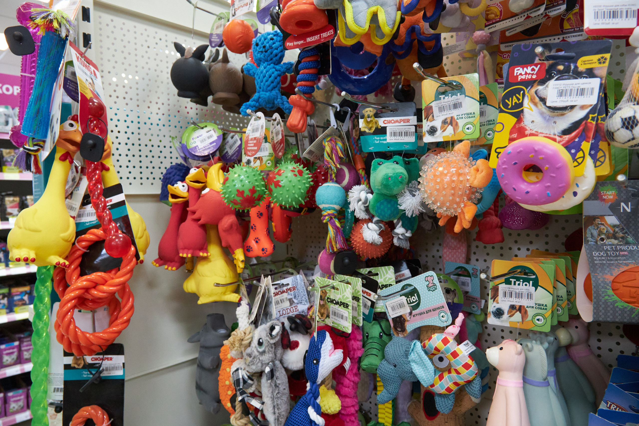 Магазин товаров для животных «Бетховен». Фотограф Сергей Феденко
