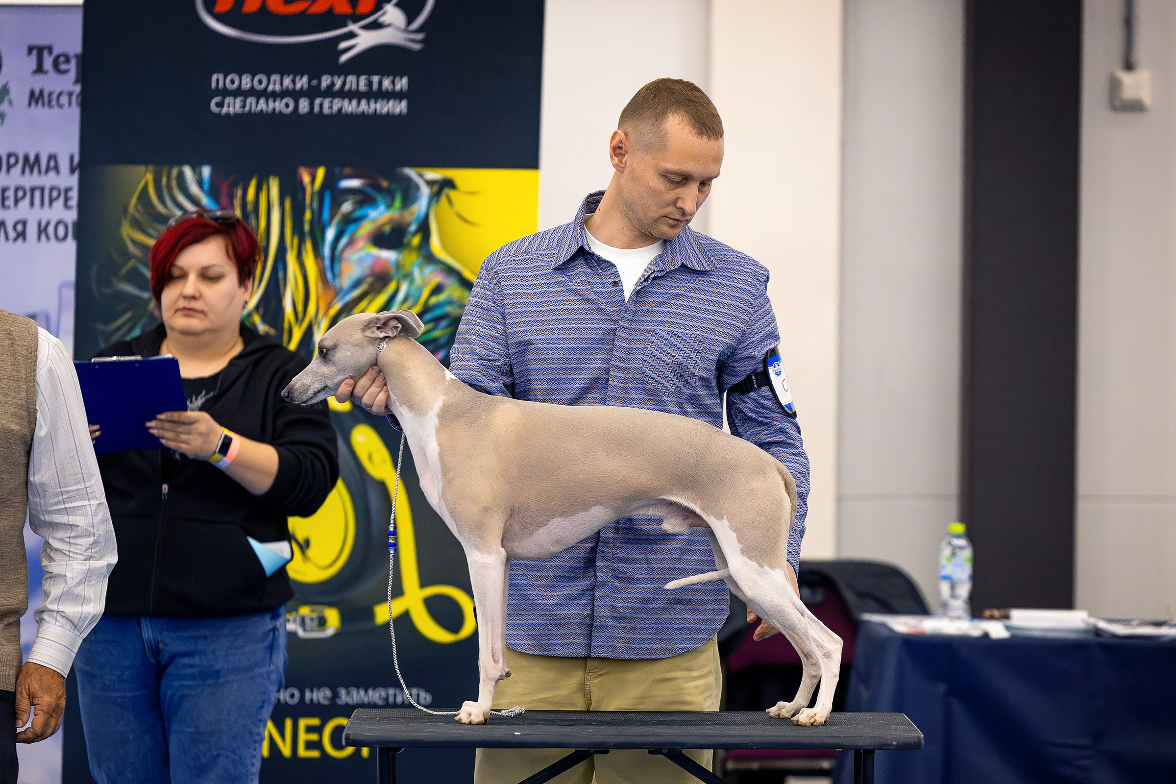 26–27 апреля 2025, Выставка РКФ, г. Санкт-Петербург. Htykk_photo