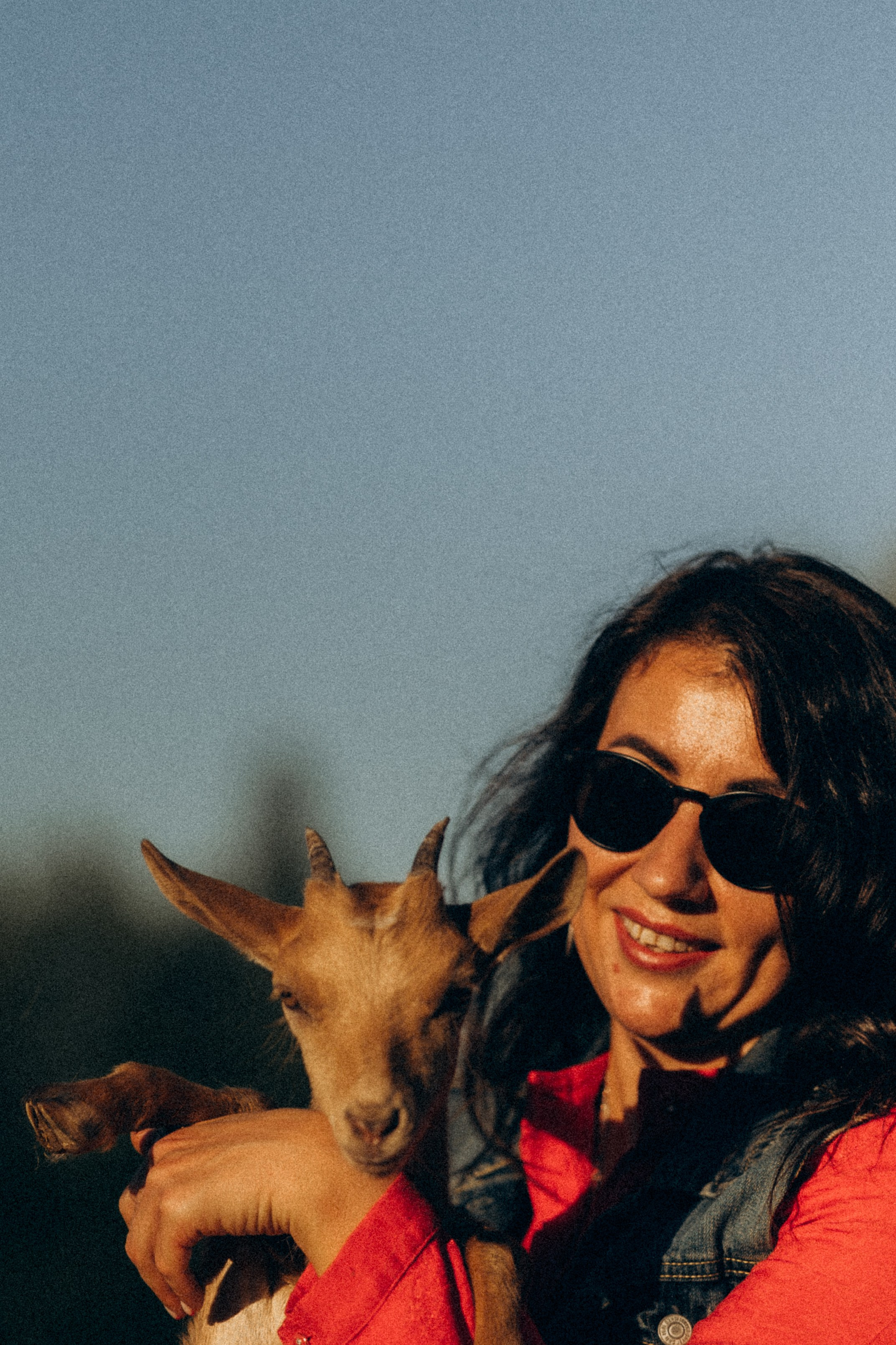 А в деревни лошади. Фотограф Москва Светлана Кирюшина