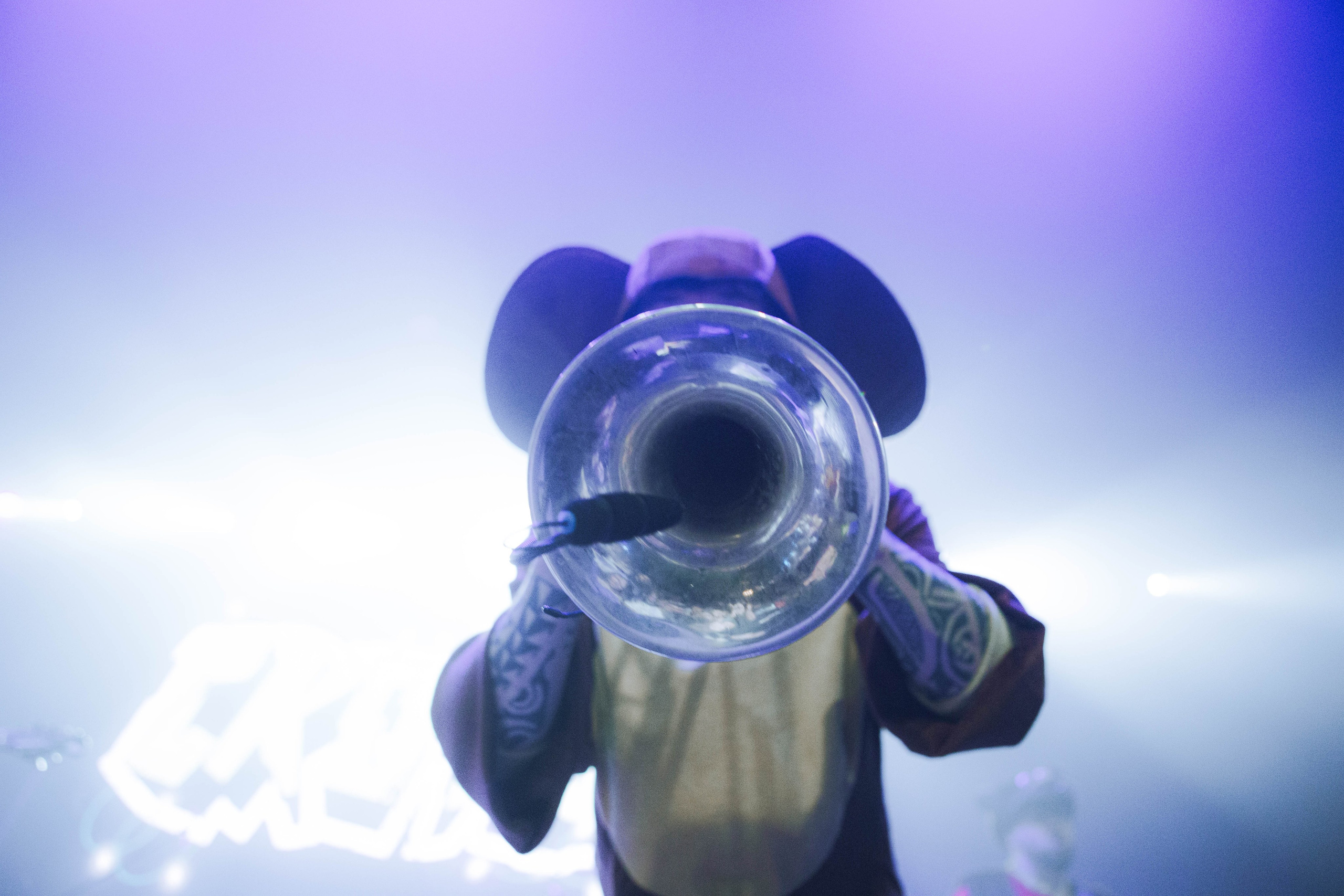 СКОТЫ 20.12.2025. Репортажный и портретный фотограф Михаил Мартиросян