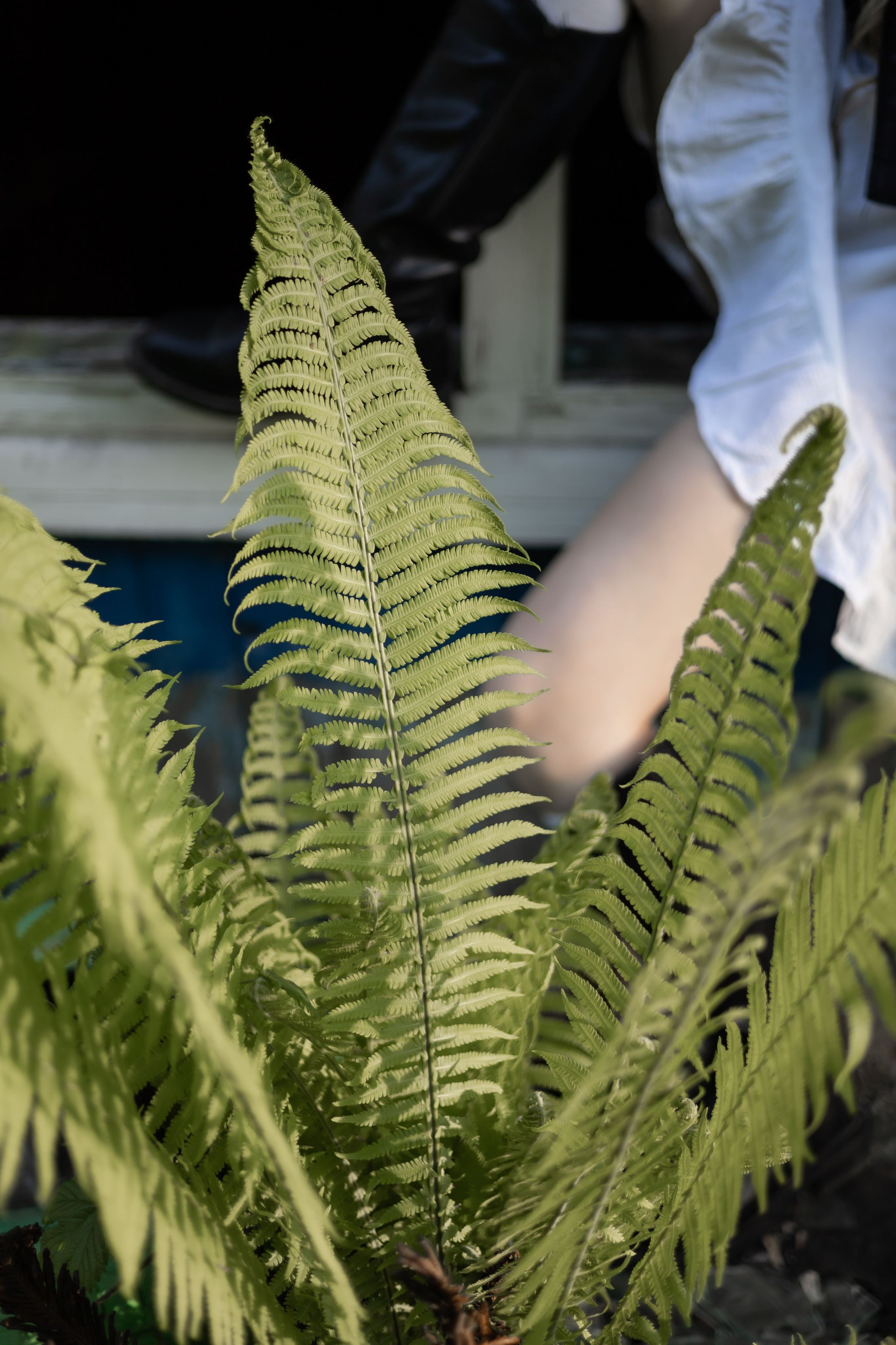 DINARA. Фотограф Элла Ефимова