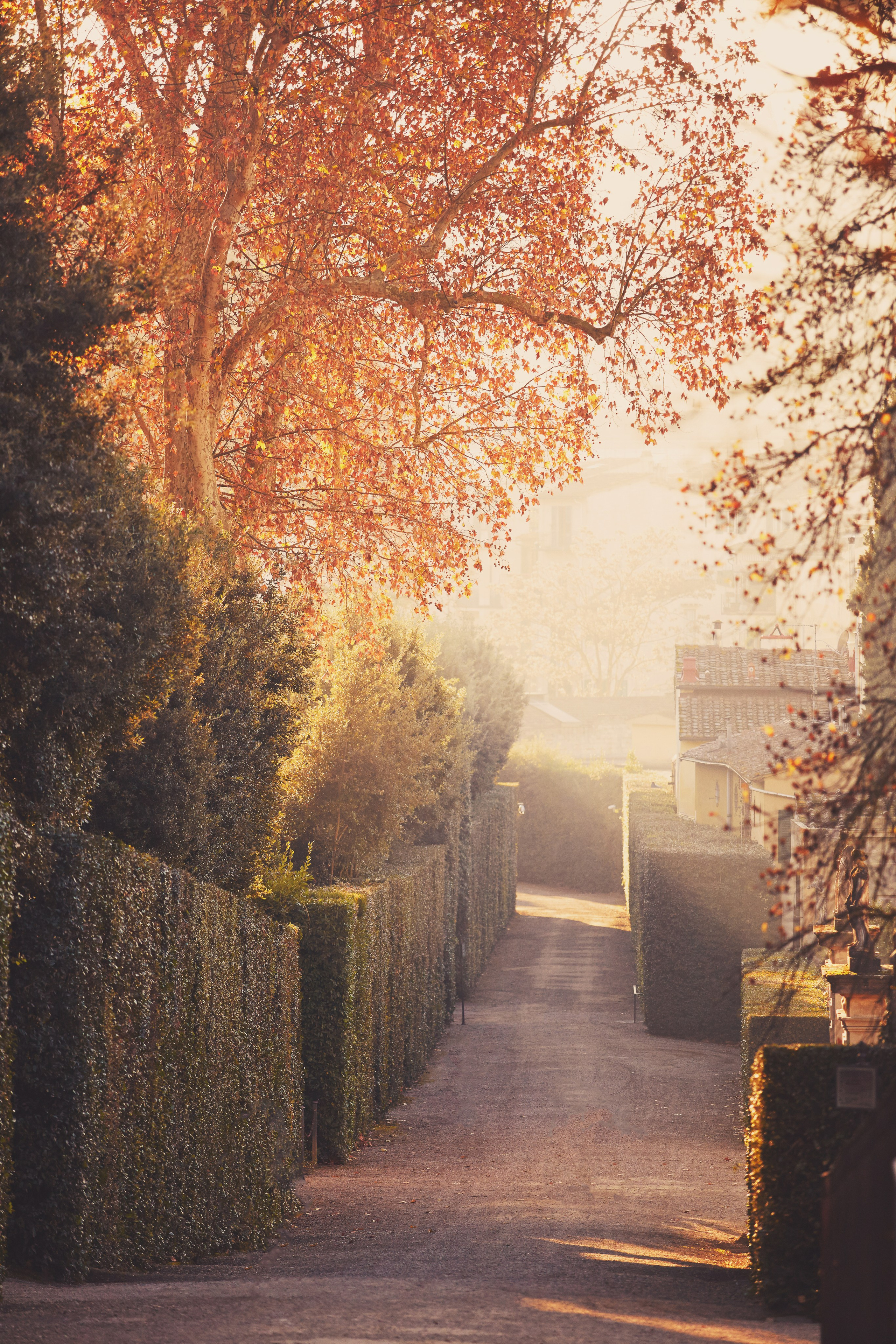 Флоренция. Рекламный коммерческий фотограф в Москве Владимир Лукьянов