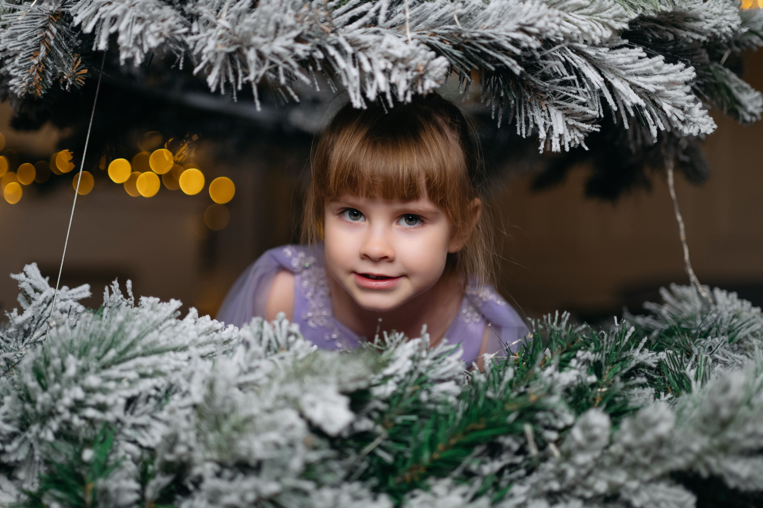 Новый год 2024-25. Ваш фотограф в г. Петропавловске-Камчатском Арина Алексеева