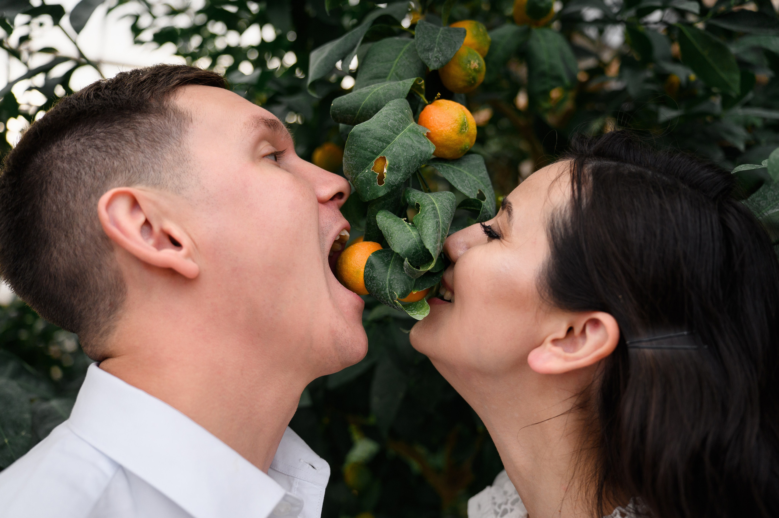 Фотосессия в Оранжерее. Свадебный и travel фотограф в Волгограде, Сочи, Домбае, Европе
