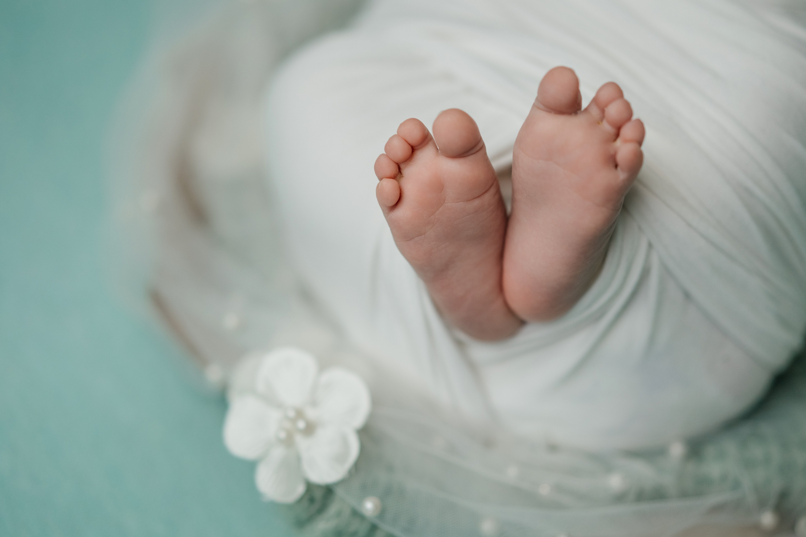 Фотосессия новорожденных в г. Новороссийске. Лана Абрамян-Фотограф новорожденных и беременных в Новороссийске Анапе