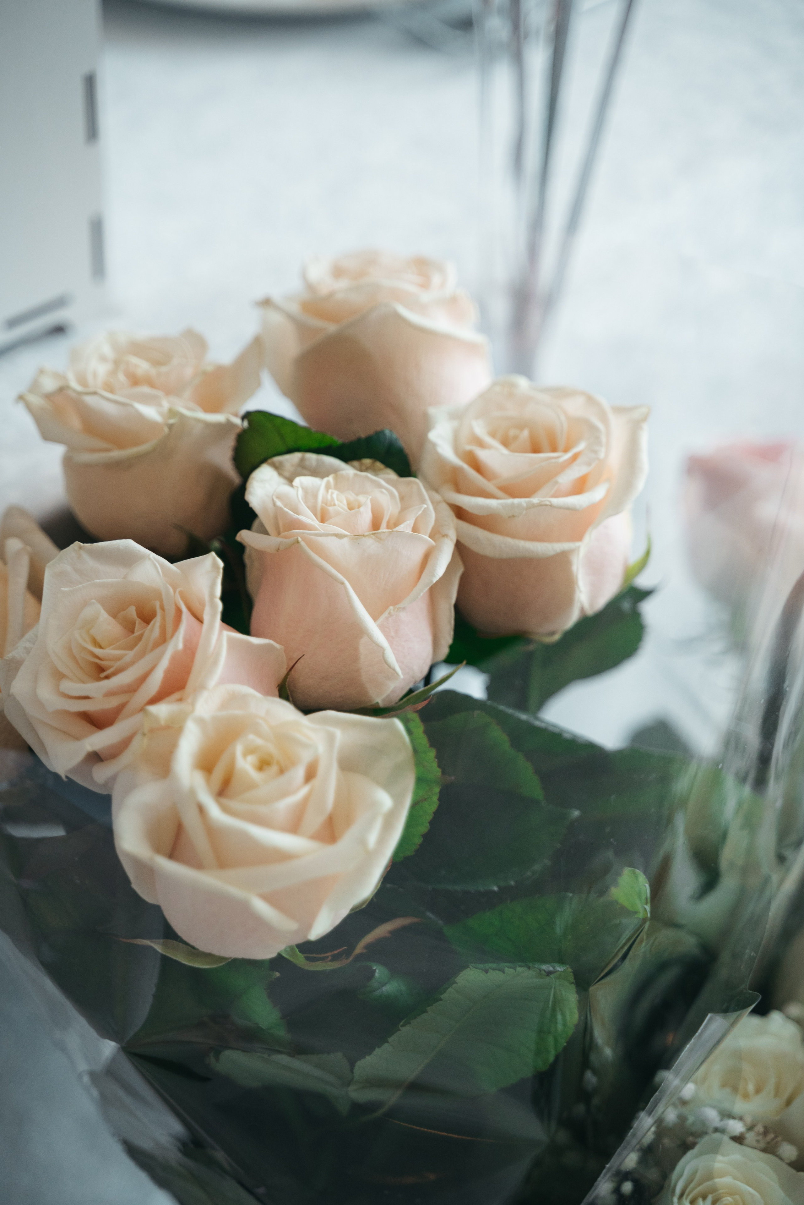 Лина и Евгений. Репортажный и свадебный фотограф в Сургуте